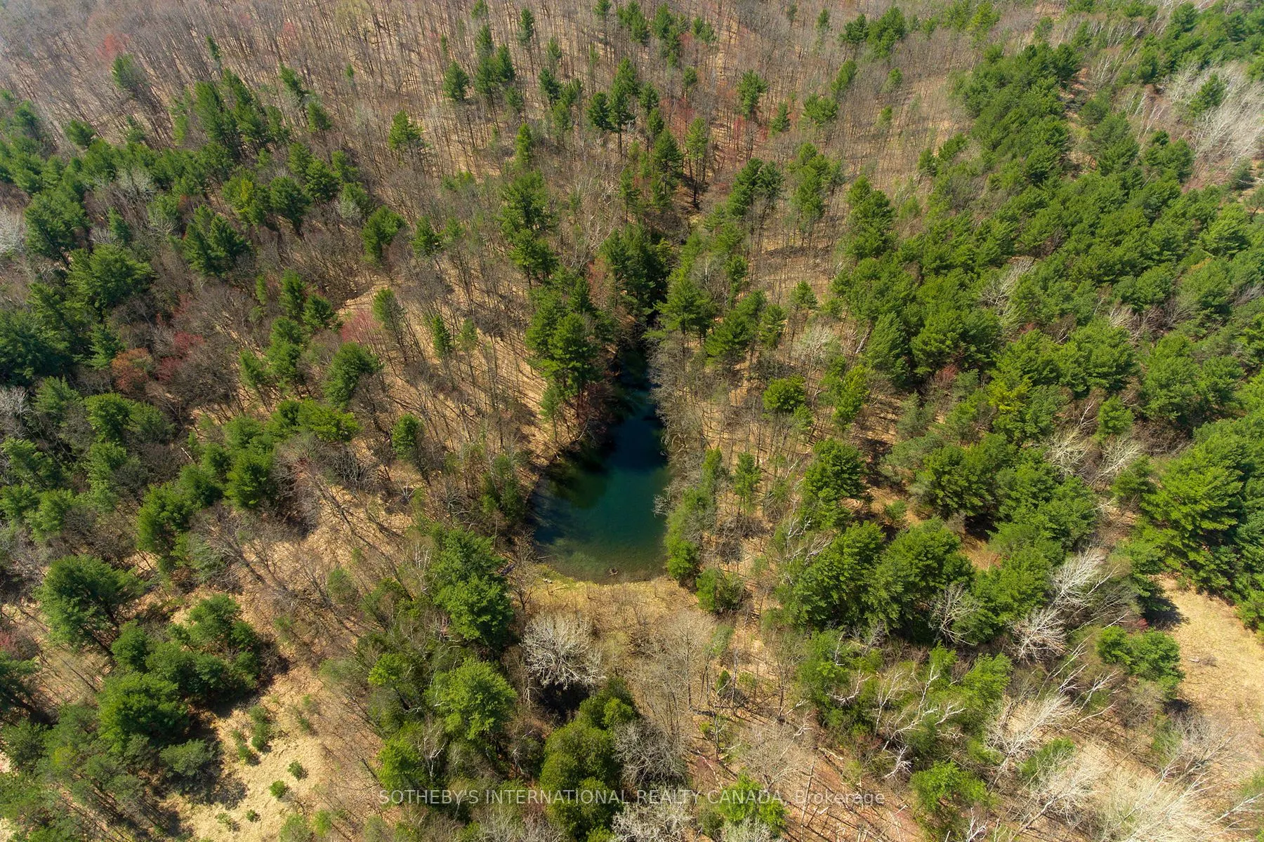 4556 Eagleson Line