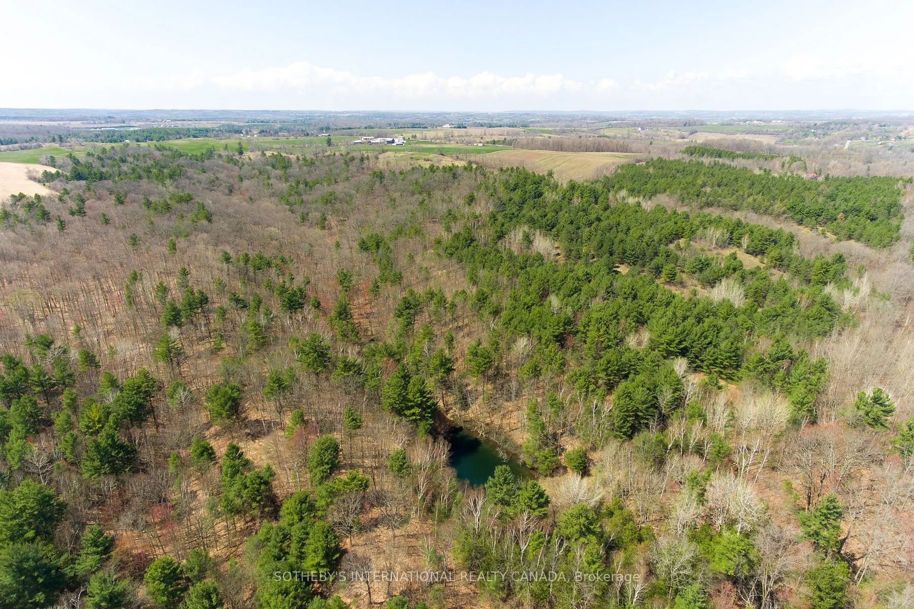 4556 Eagleson Line
