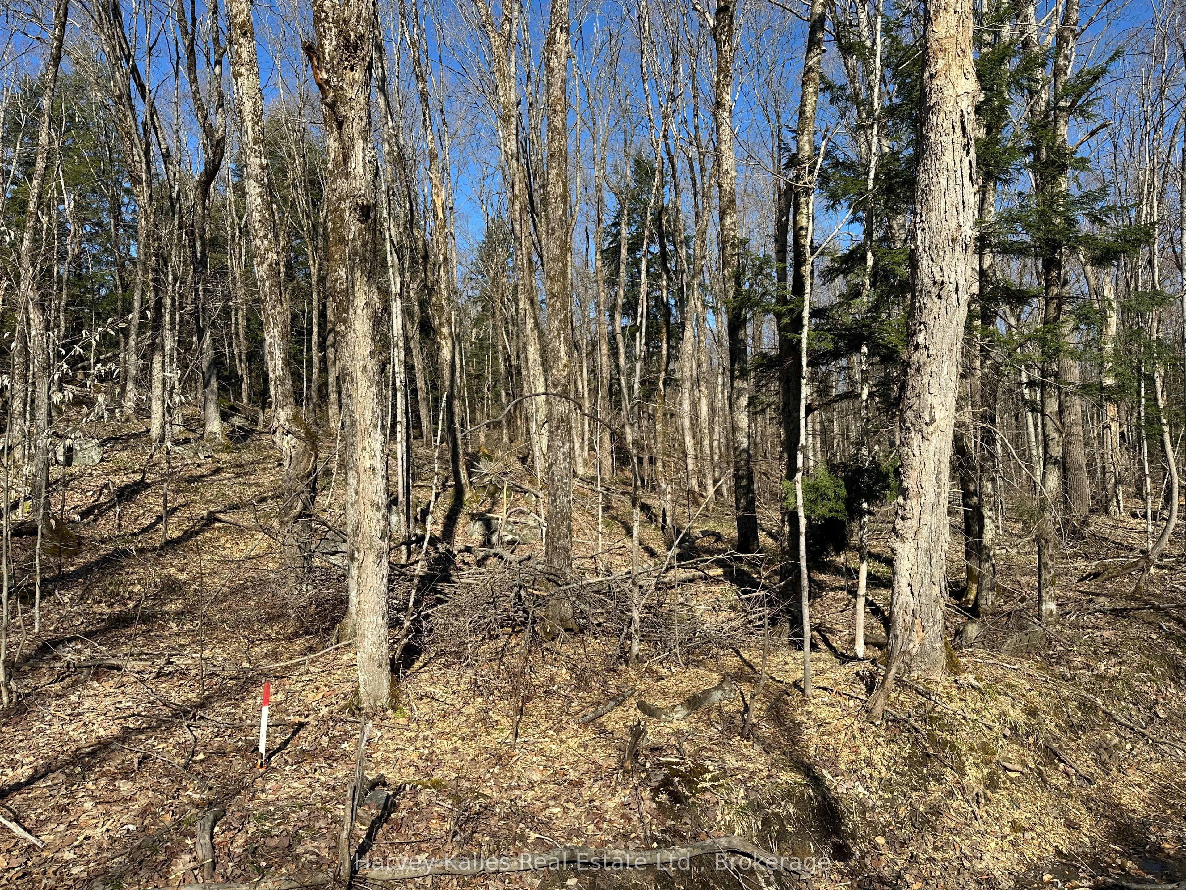 CON 1 PT LOT 12 Barlochan Road