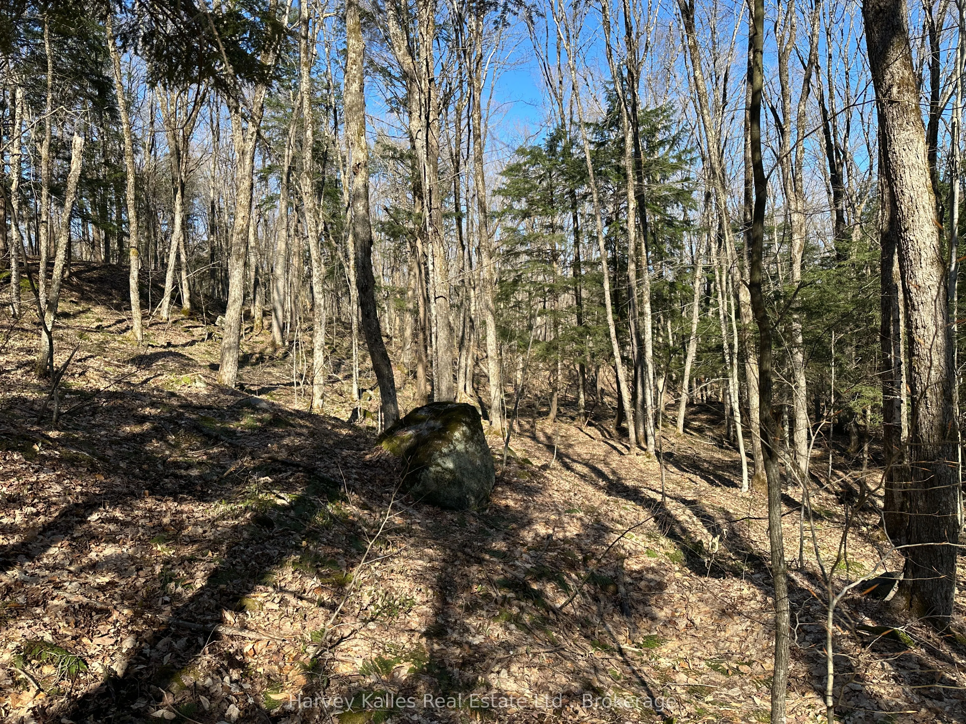 CON 1 PT LOT 12 Barlochan Road