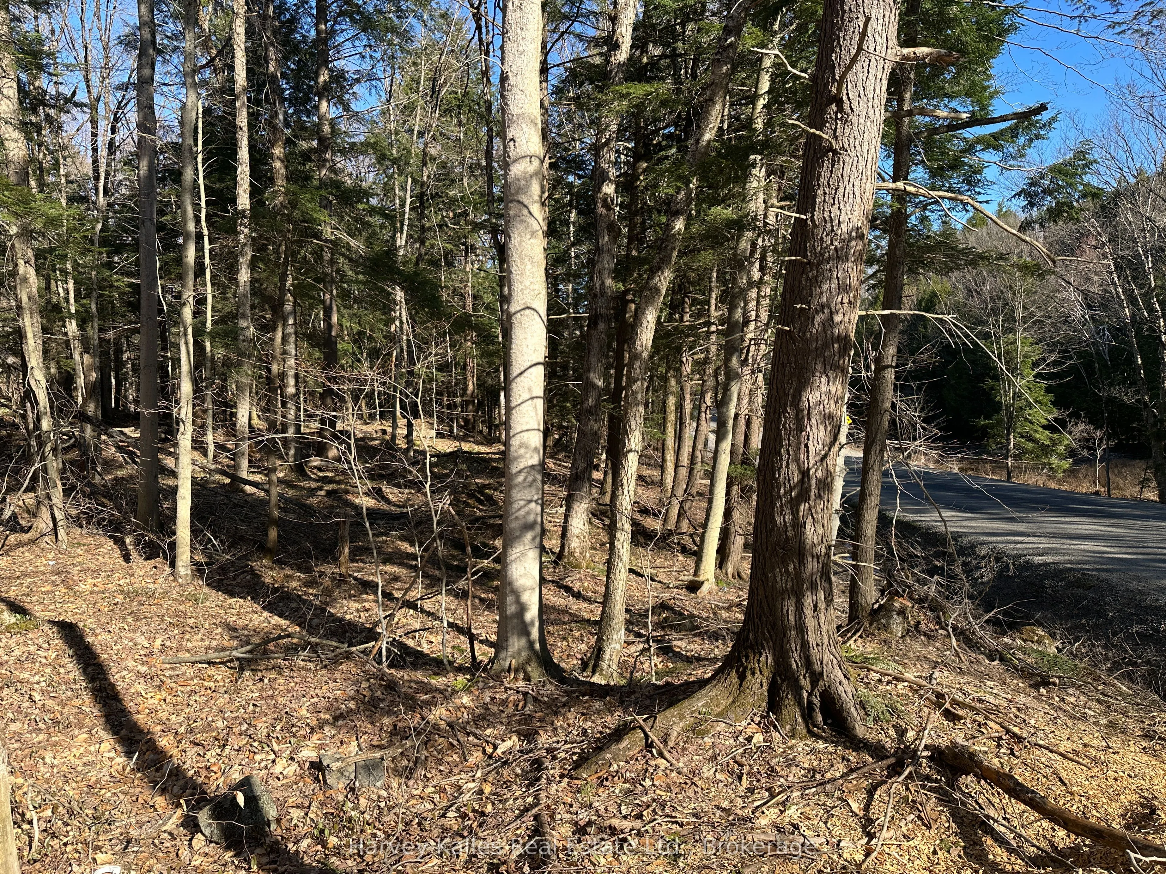 CON 1 PT LOT 12 Barlochan Road