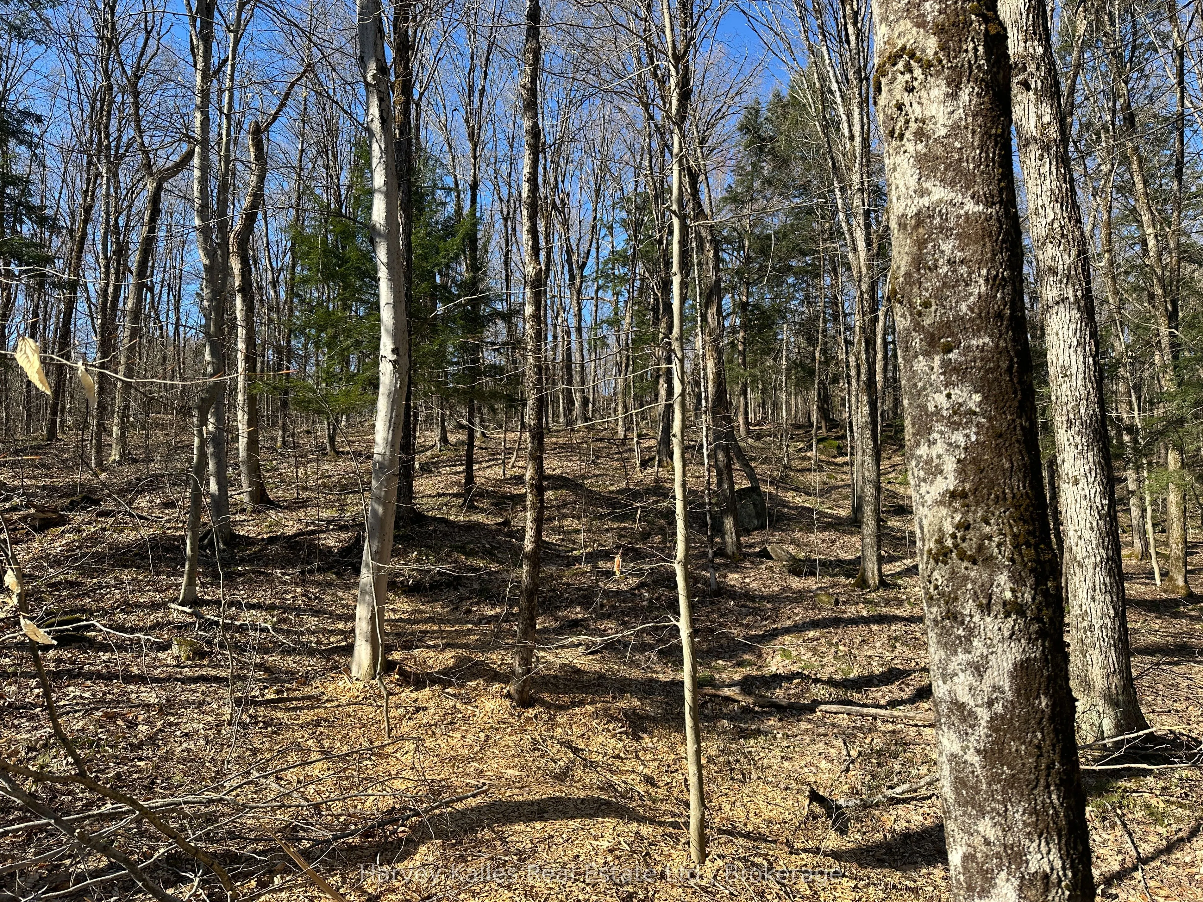 CON 1 PT LOT 12 Barlochan Road