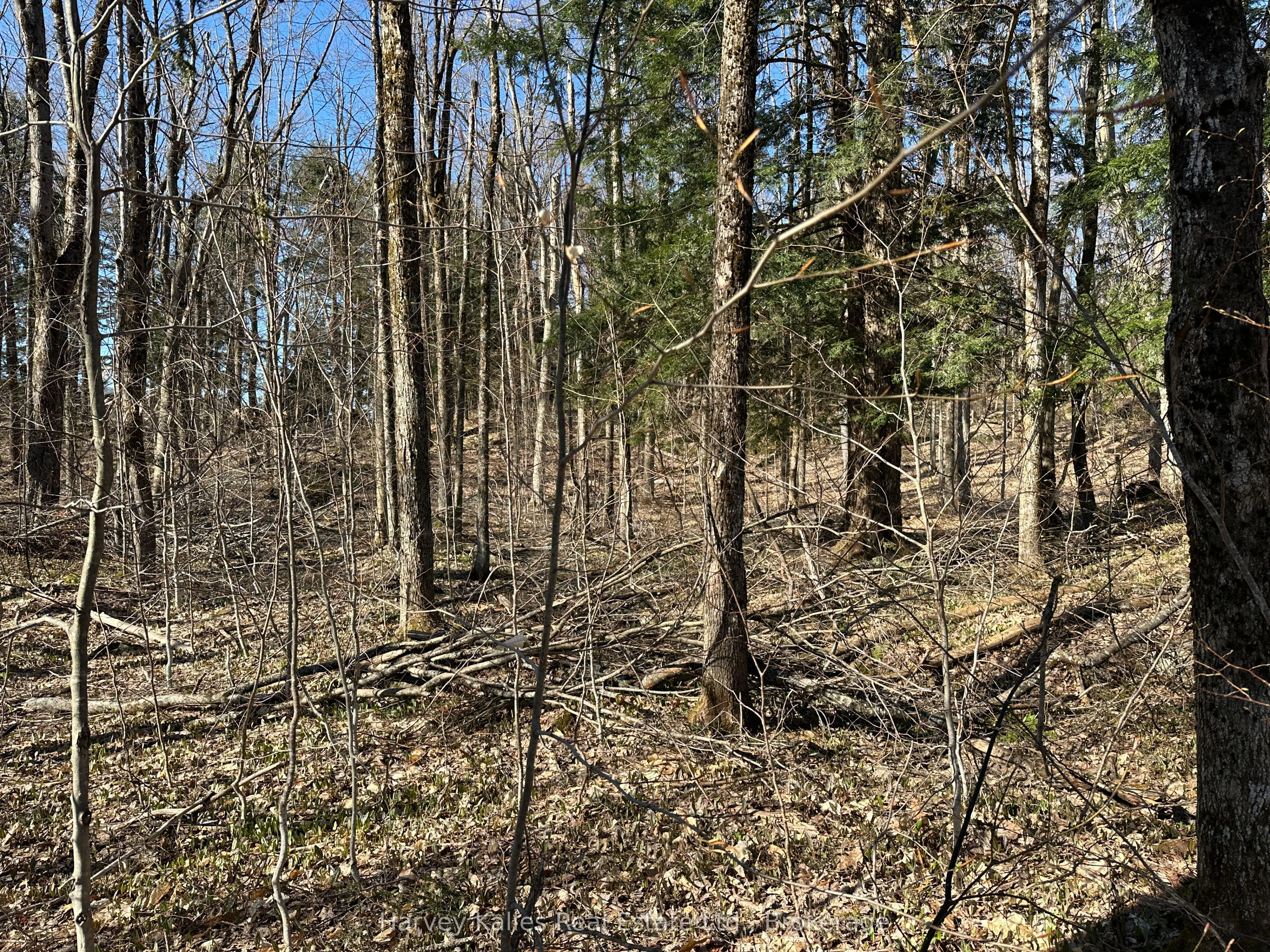 CON 1 PT LOT 12 Barlochan Road