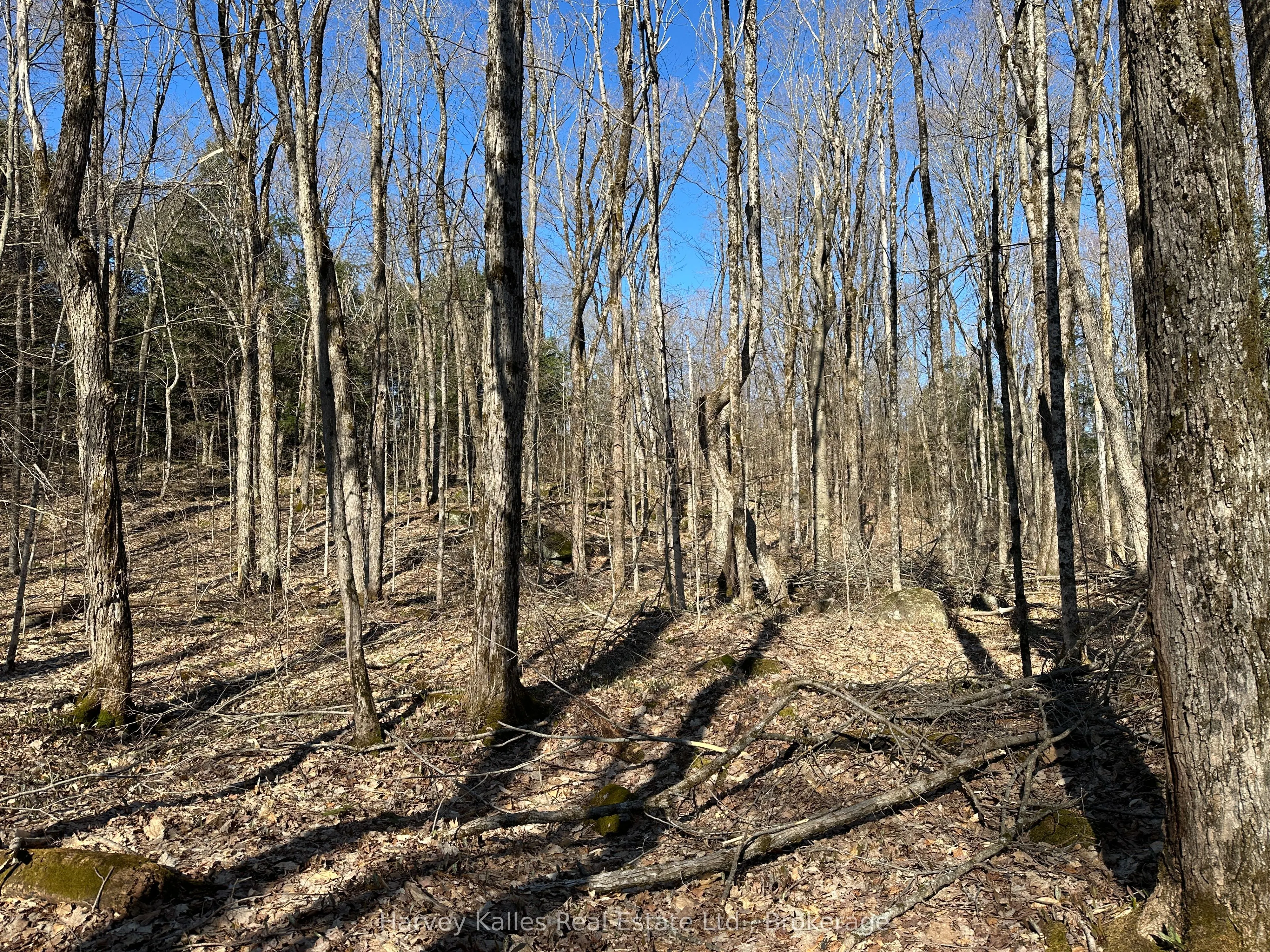 CON 1 PT LOT 12 Barlochan Road