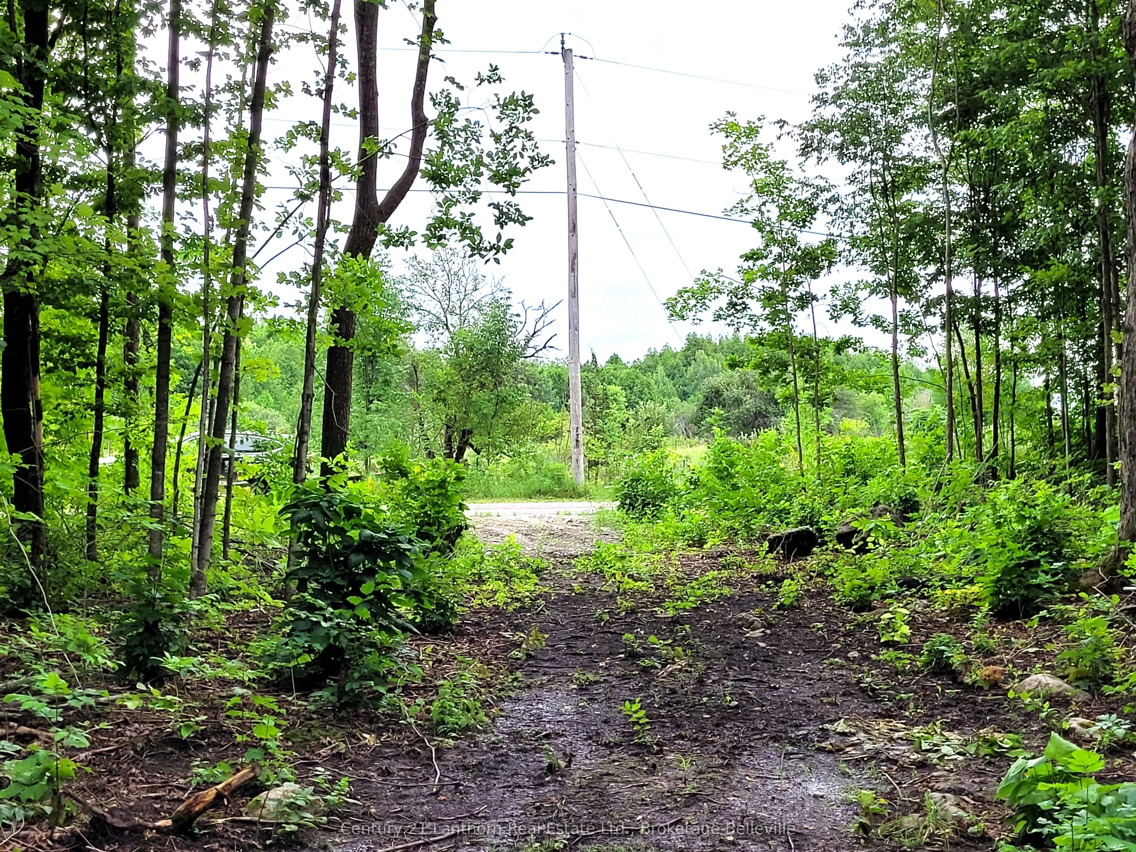 0 Spry Road