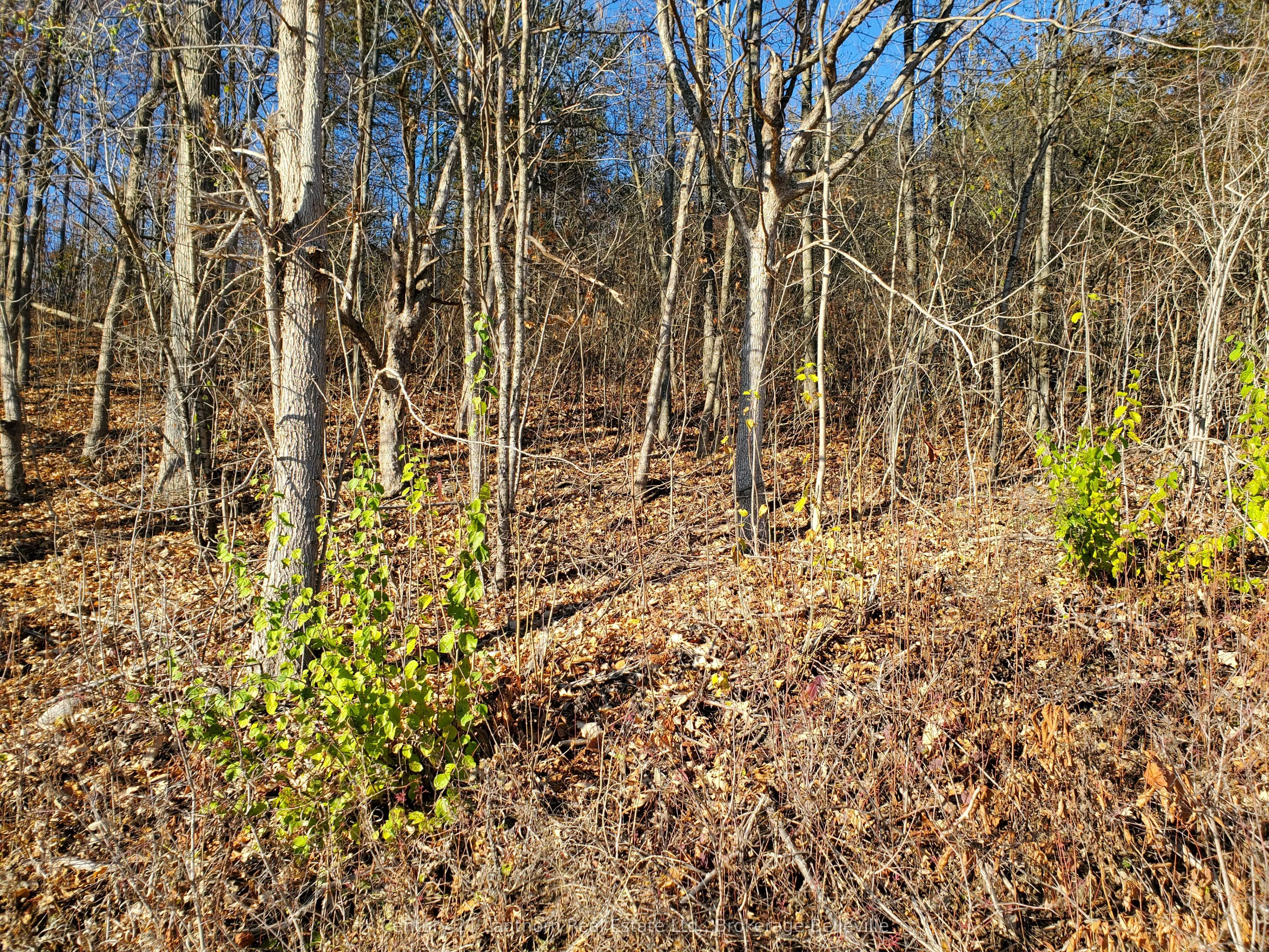 0 Devils Valley Road