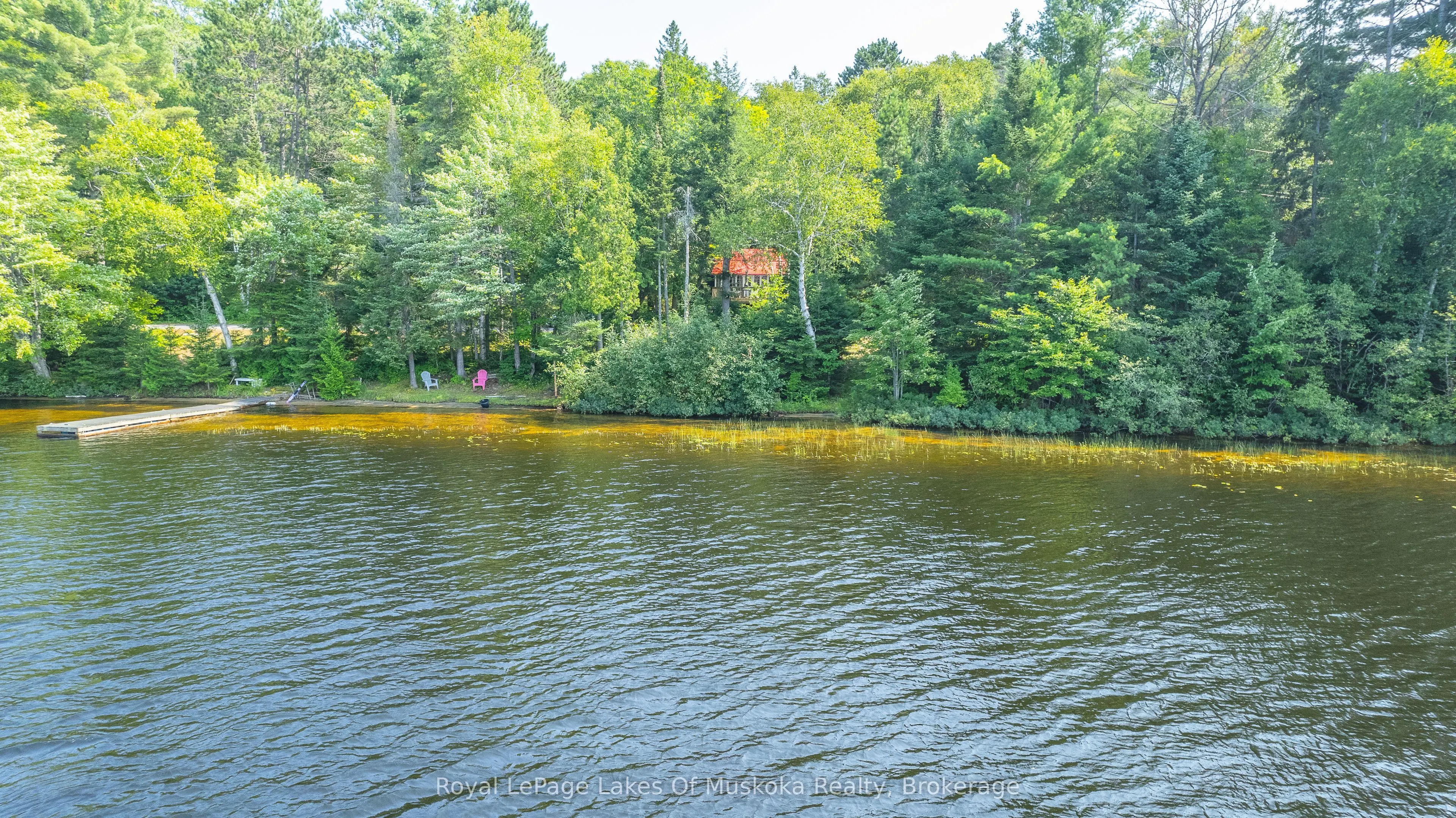 1257 PAINT LAKE Road