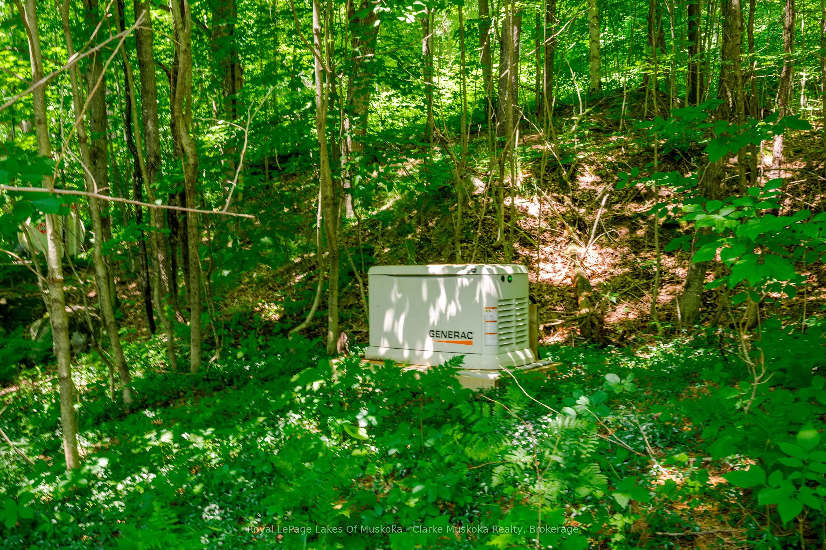 1298 Hemlock Point Road