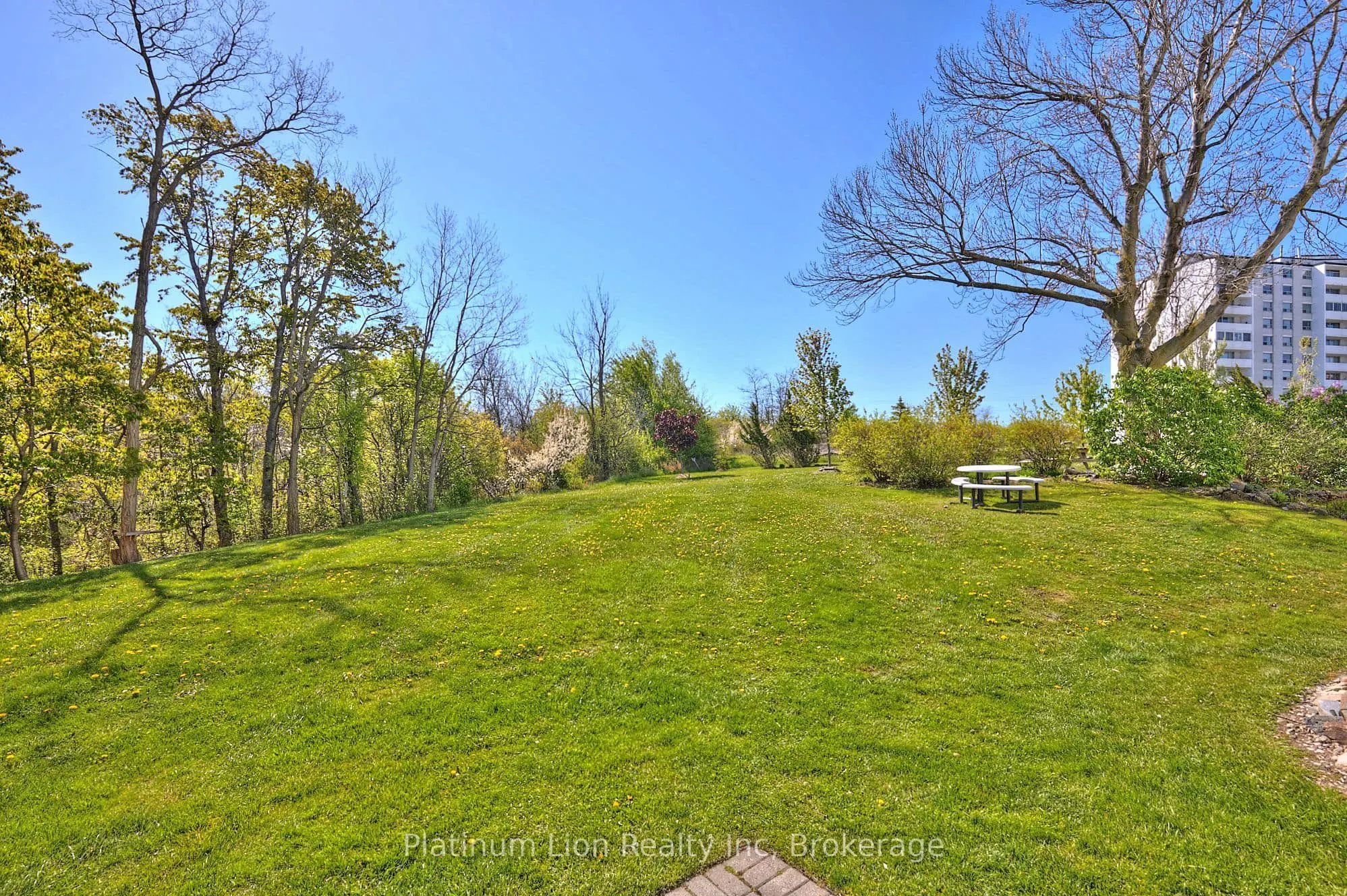 15 Towering Heights Boulevard #1204