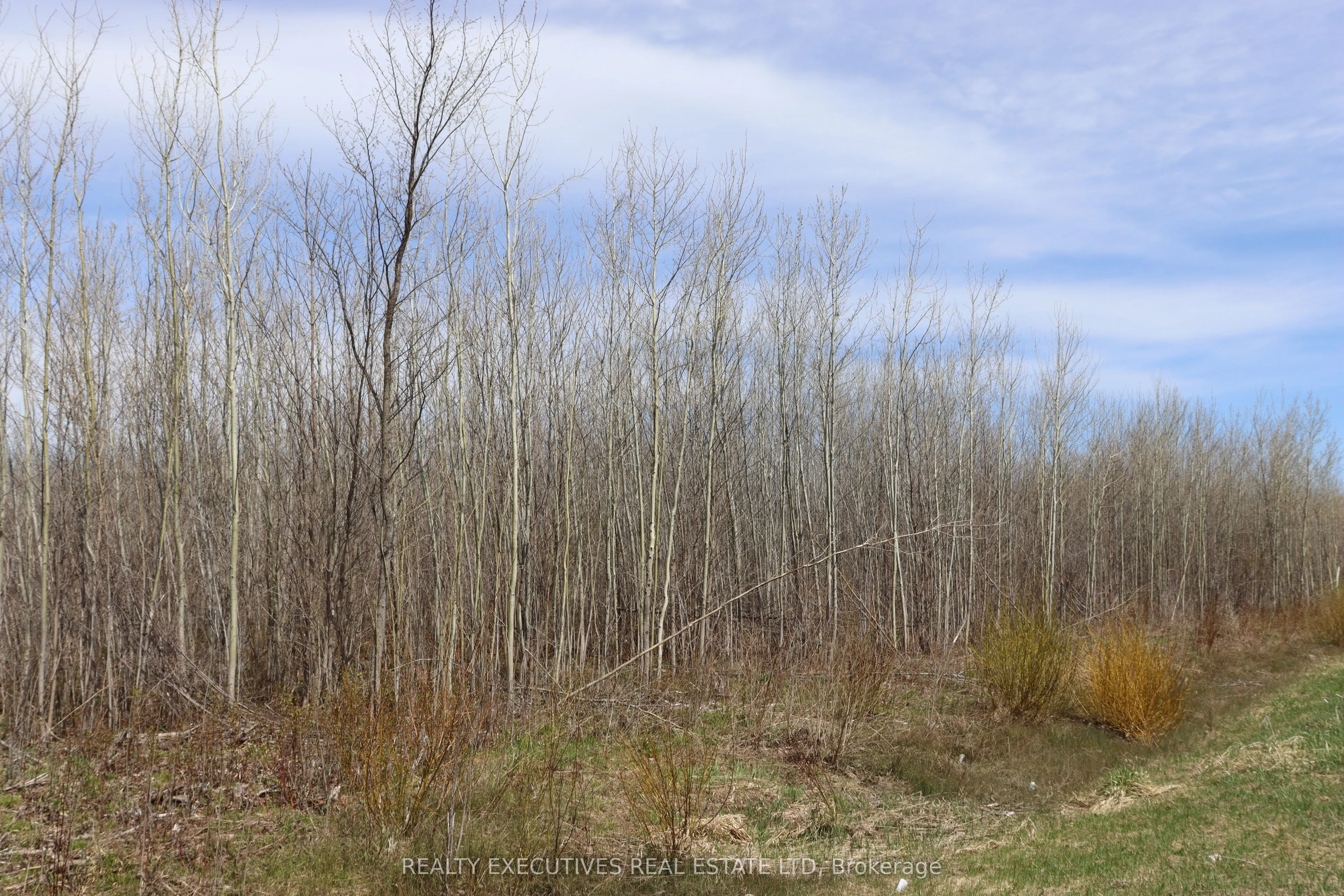 15905 Concession 2-3 Road