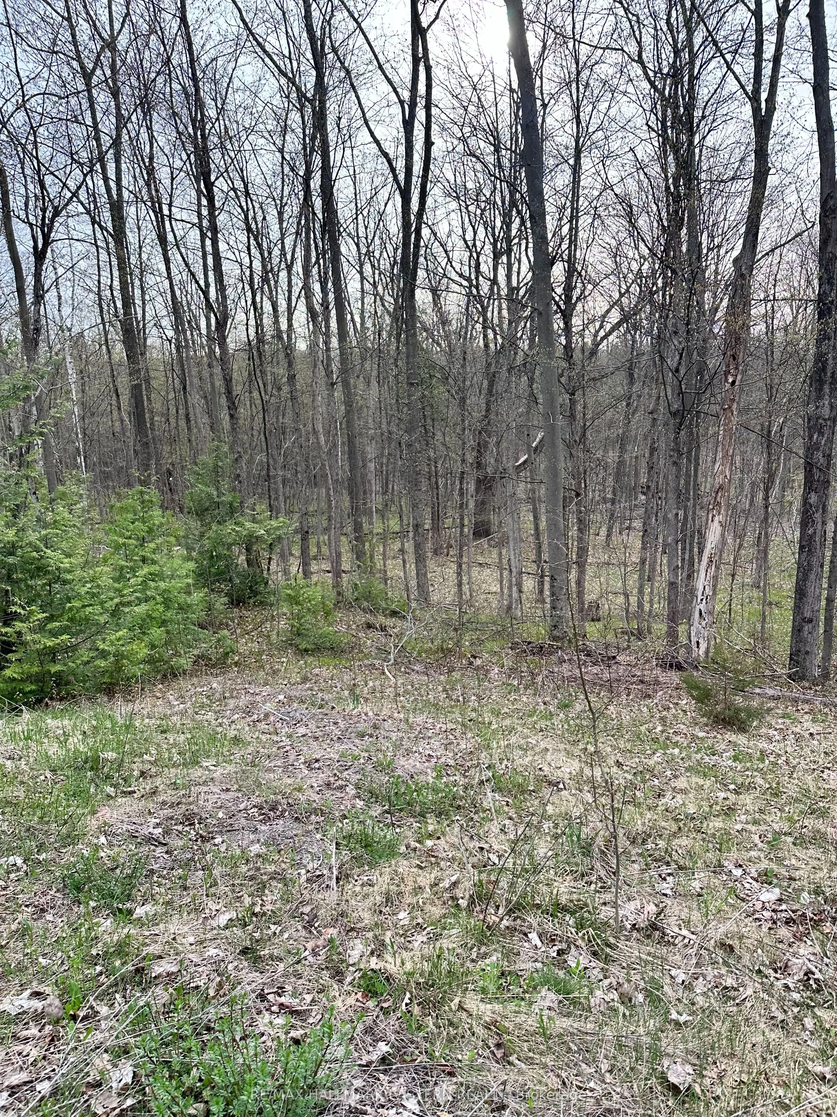 62 Trent View Drive