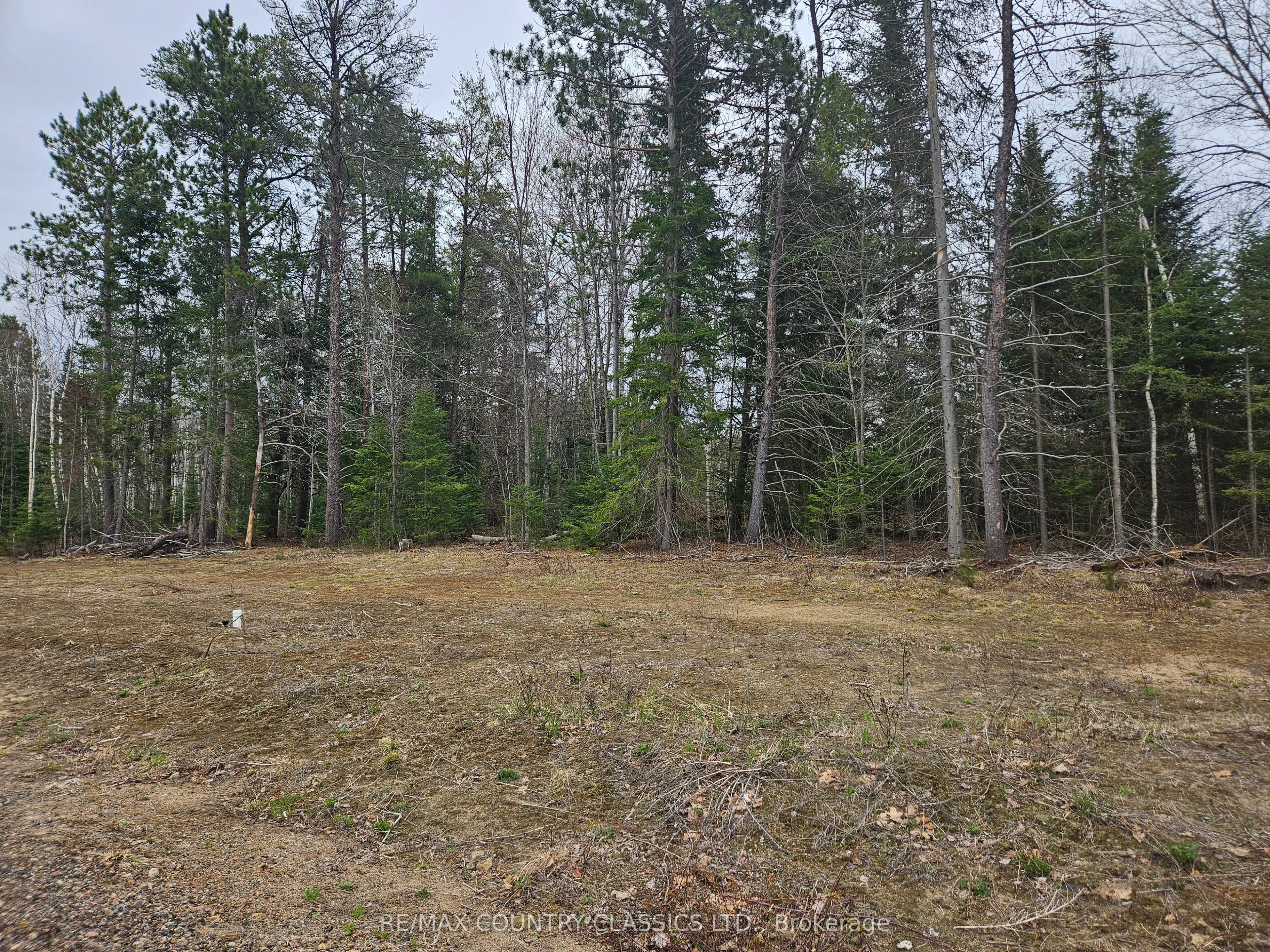 23 Birchview Drive