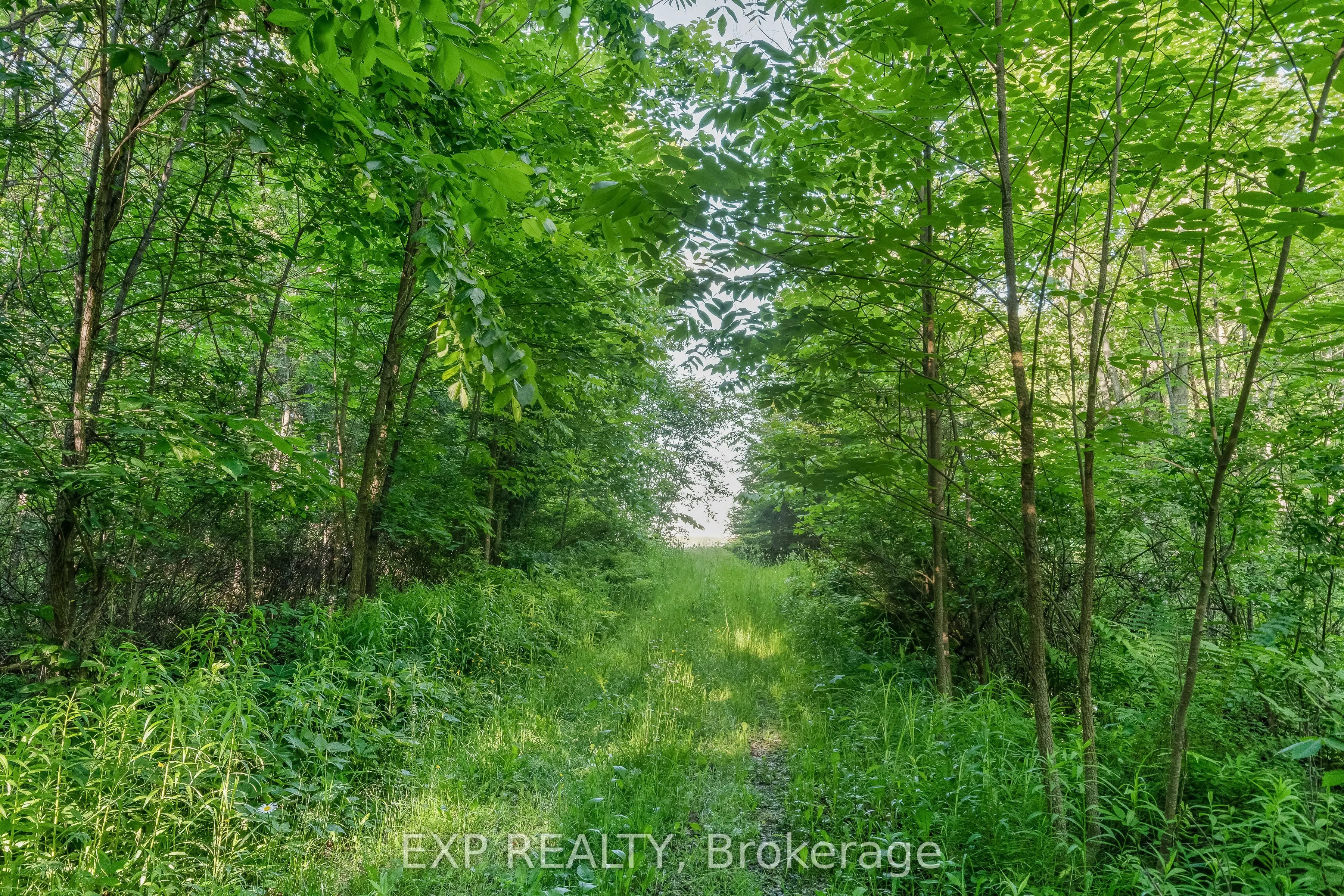 1585 County 46 Road