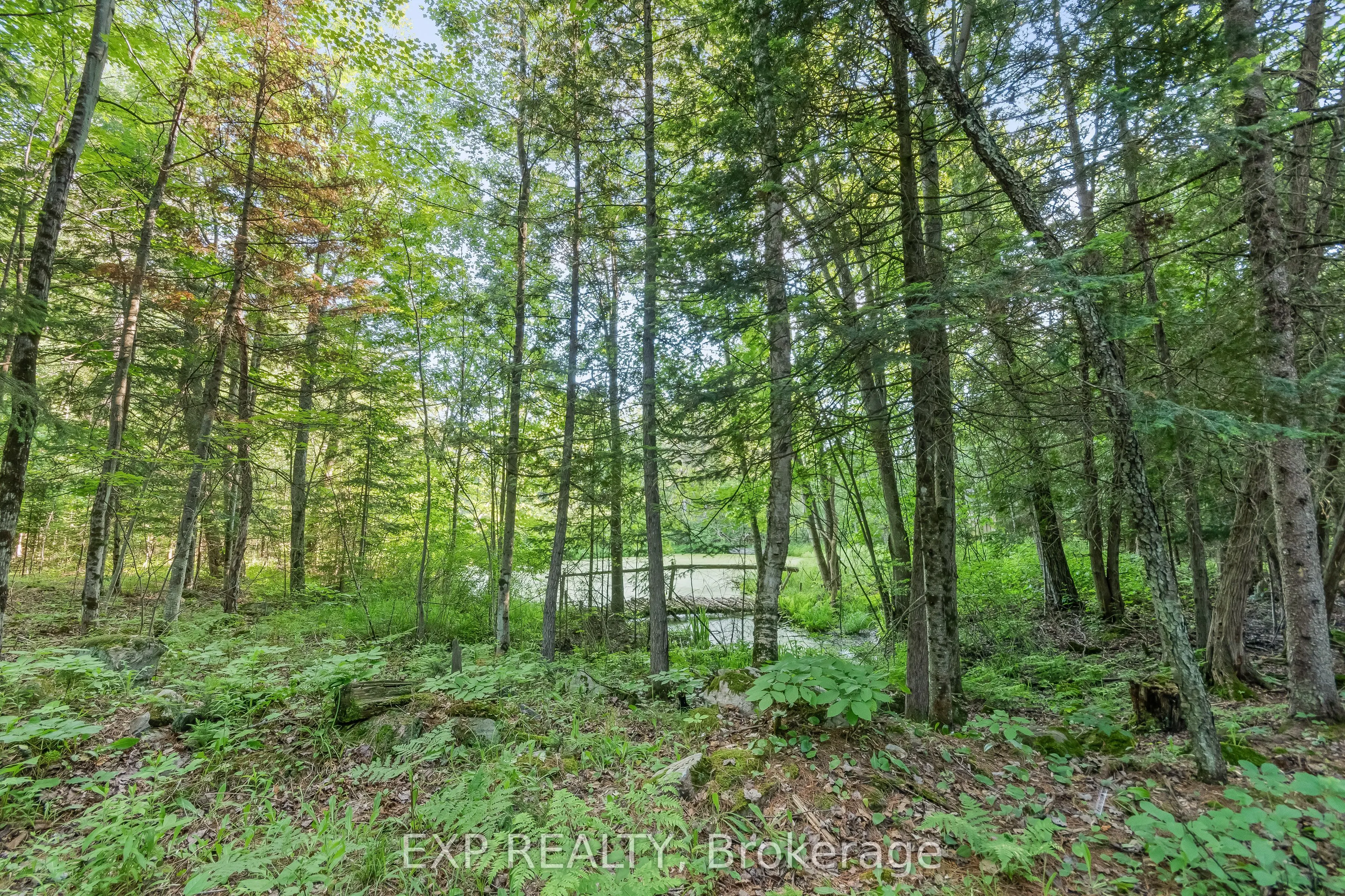 1585 County 46 Road