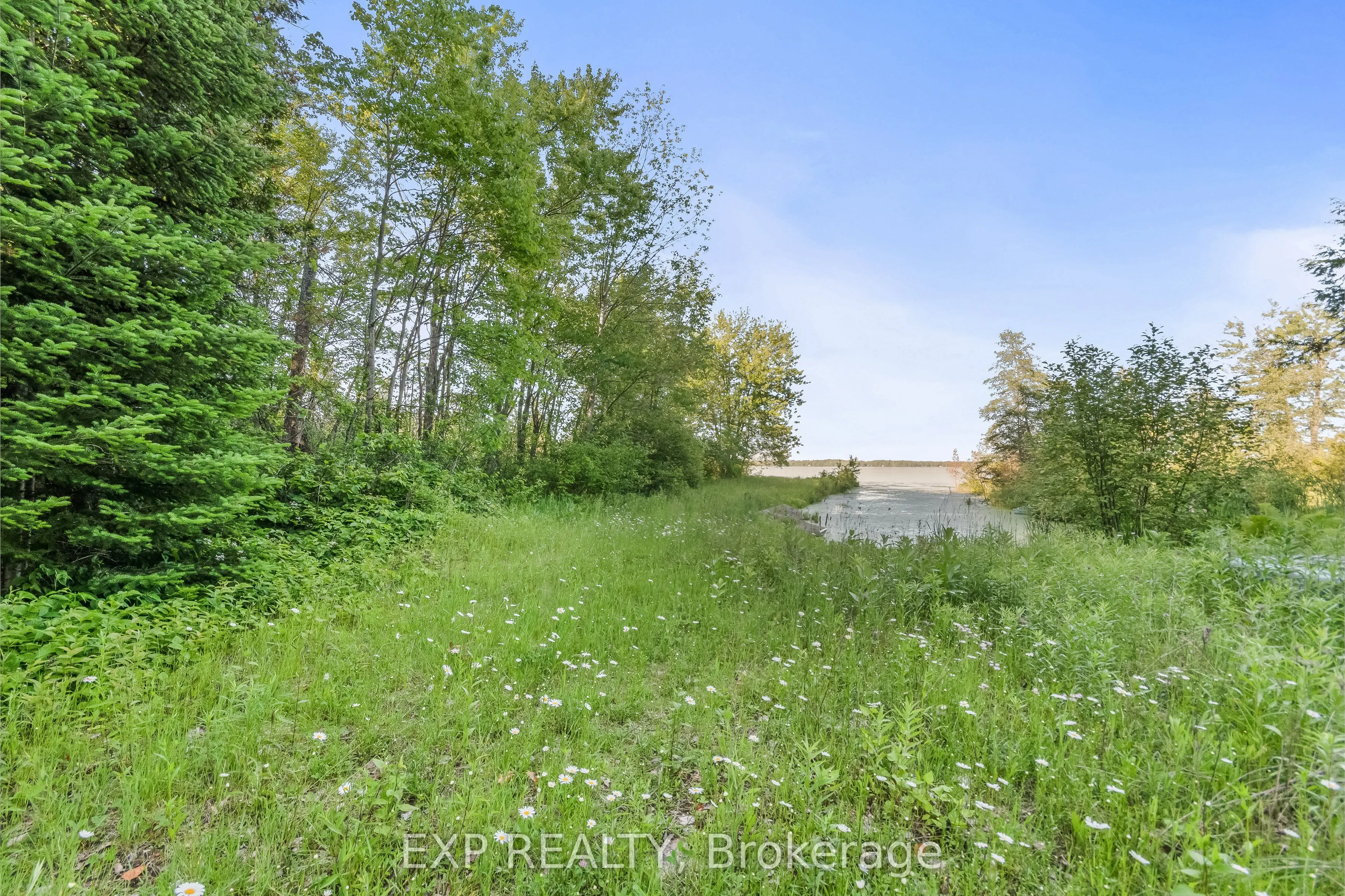 1585 County 46 Road