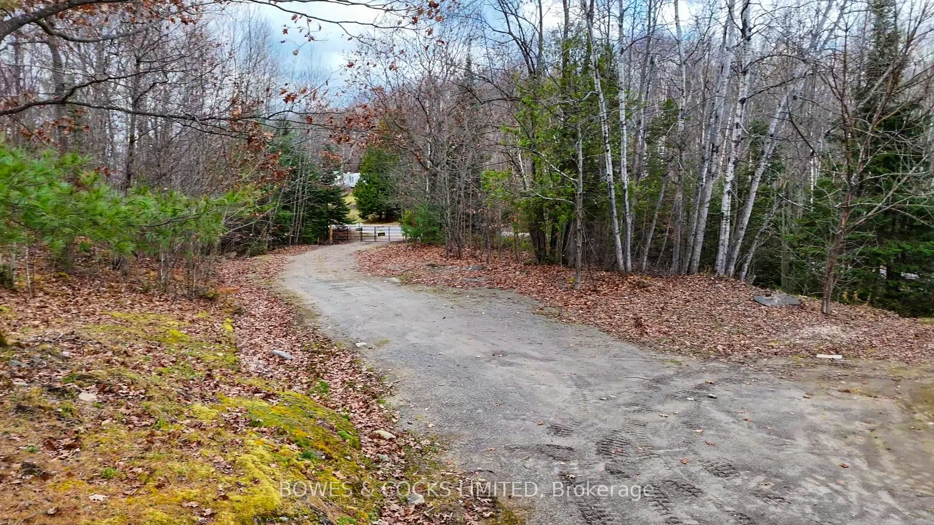 154 Little Ireland Road