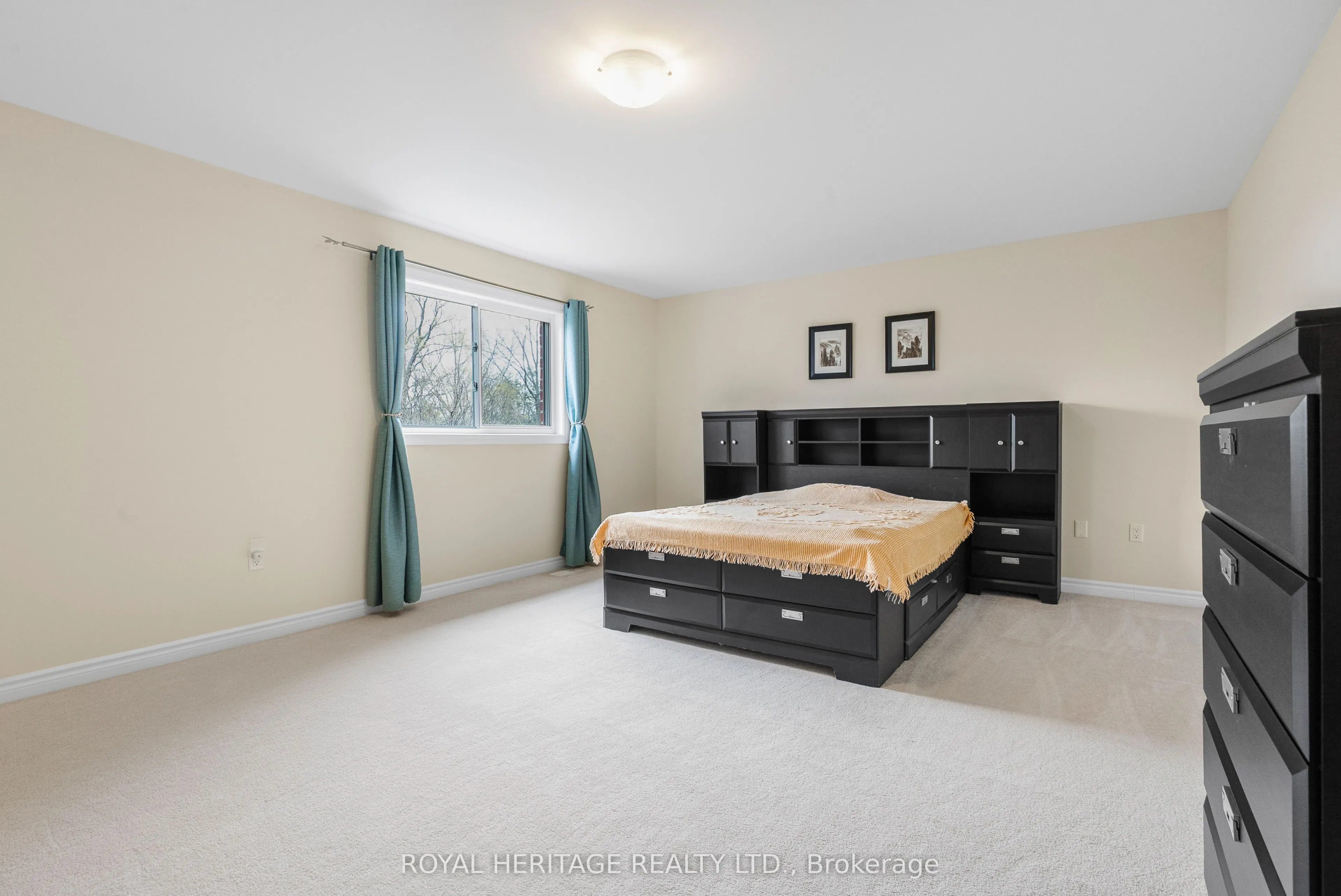 141 Springdale Drive