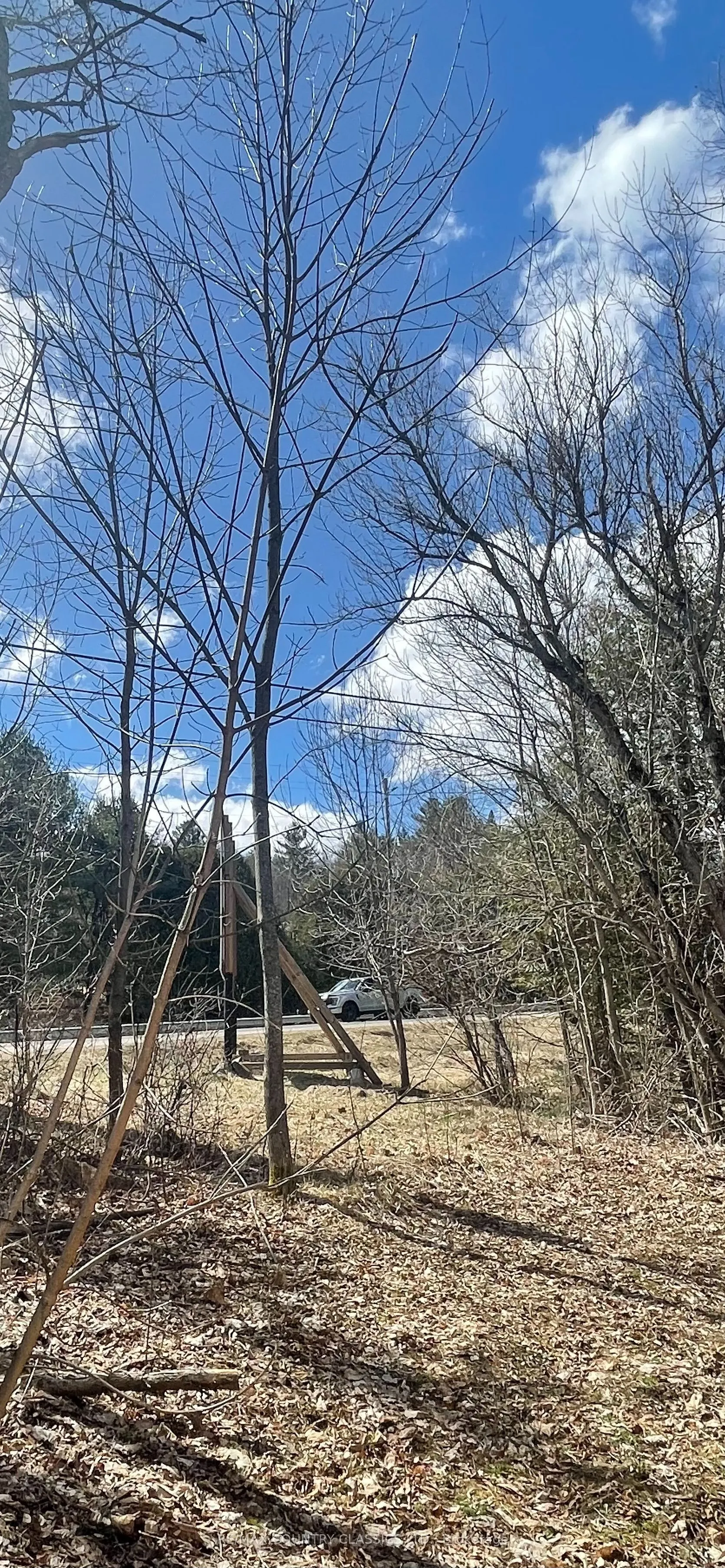 47 Arbor Vitae Road E
