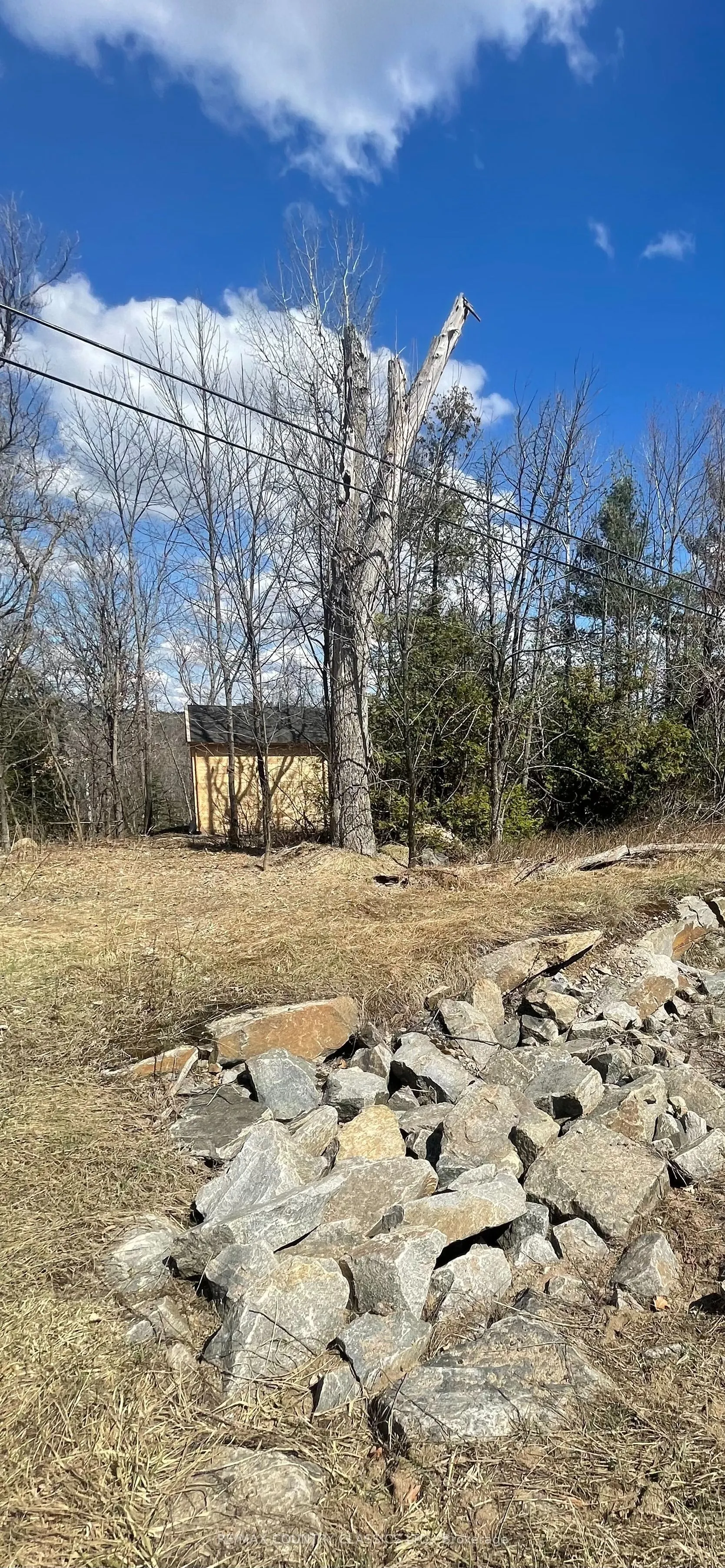 47 Arbor Vitae Road E
