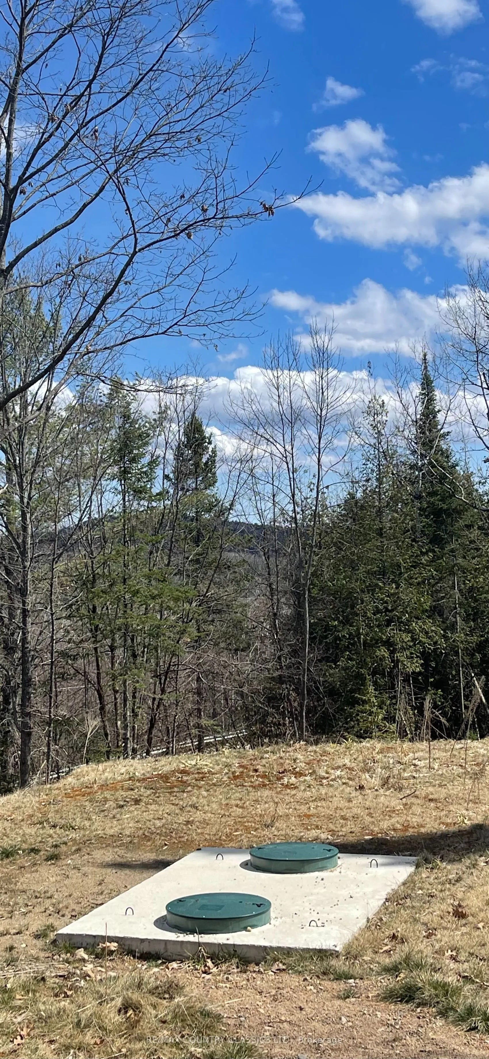 47 Arbor Vitae Road E