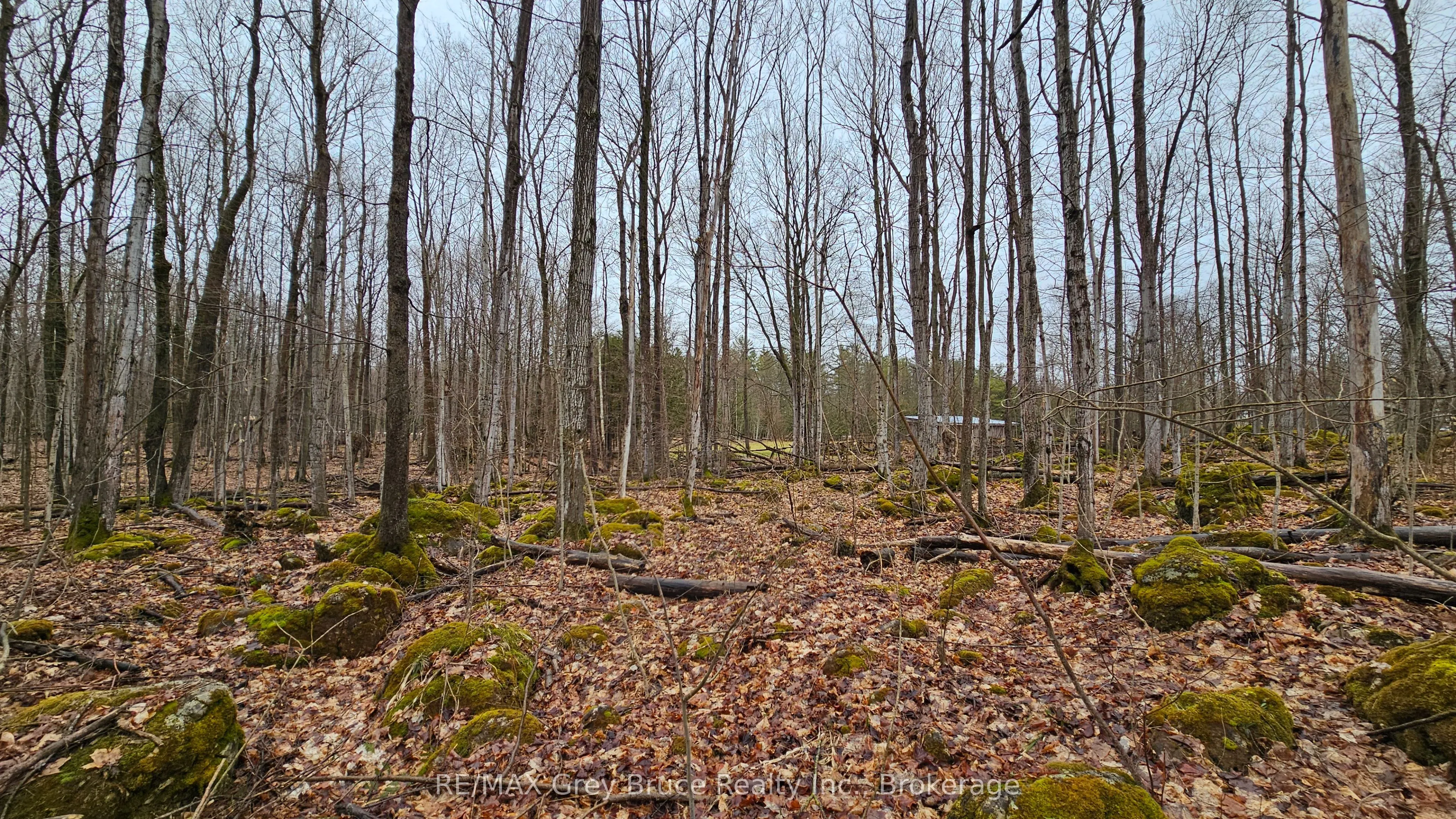 PT LT 15 Concession Rd 21 Road