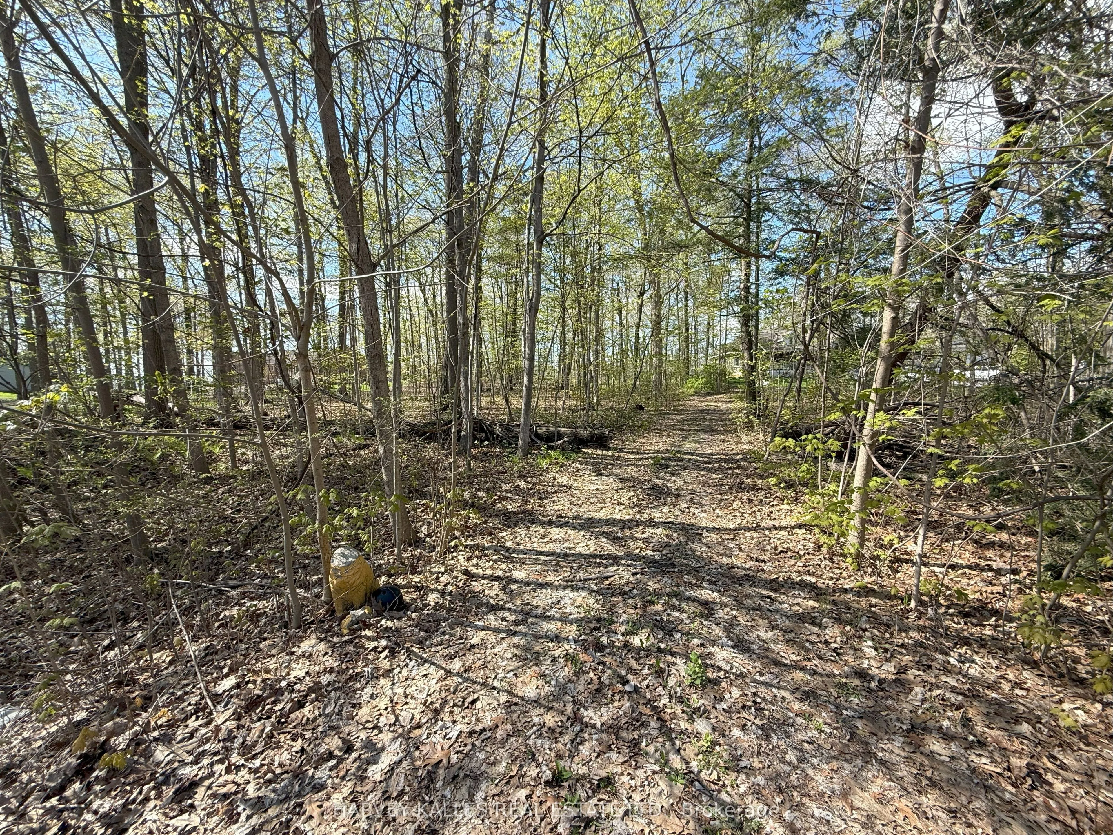 0 Oakwood Lane