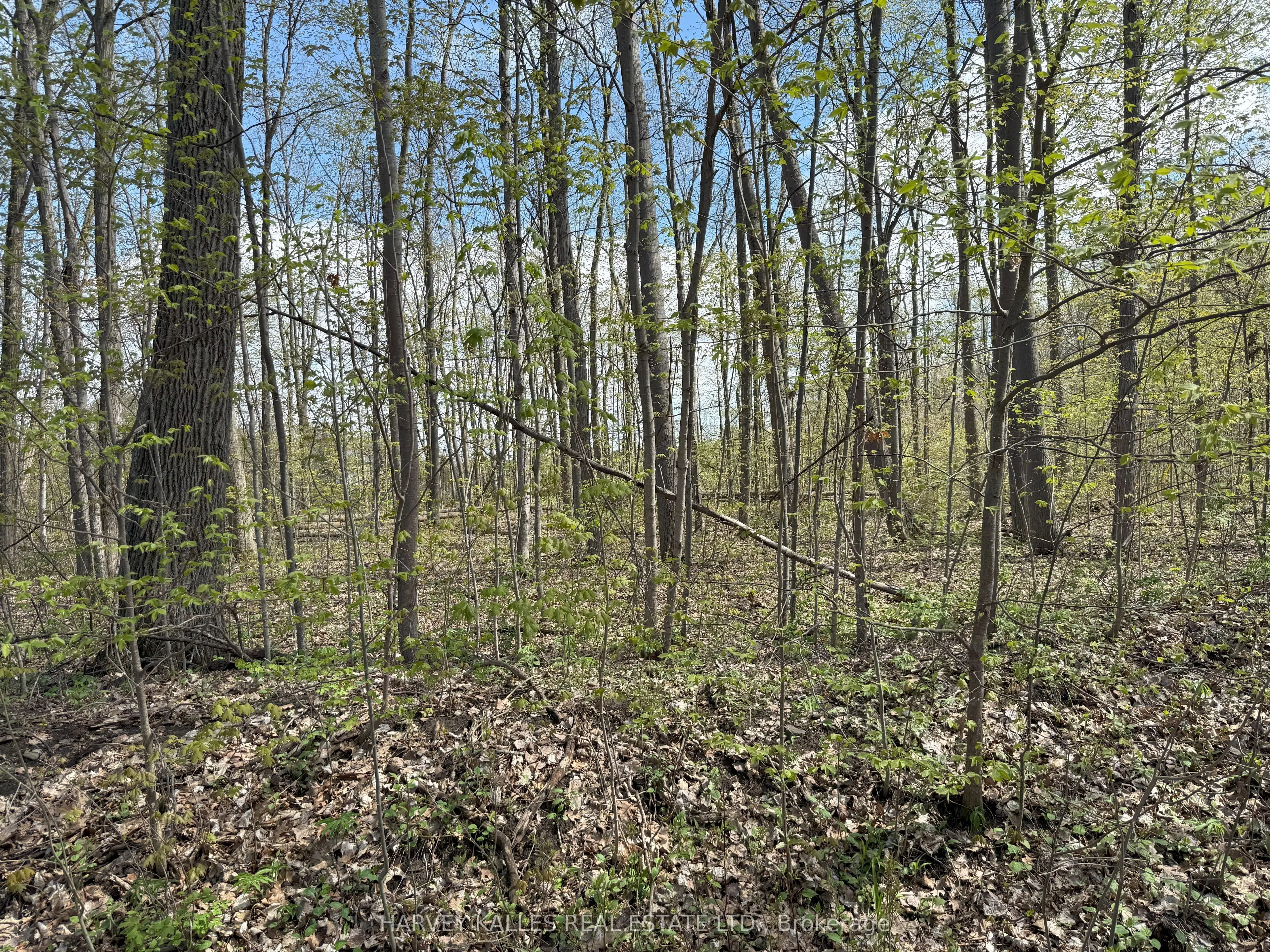 0 Oakwood Lane
