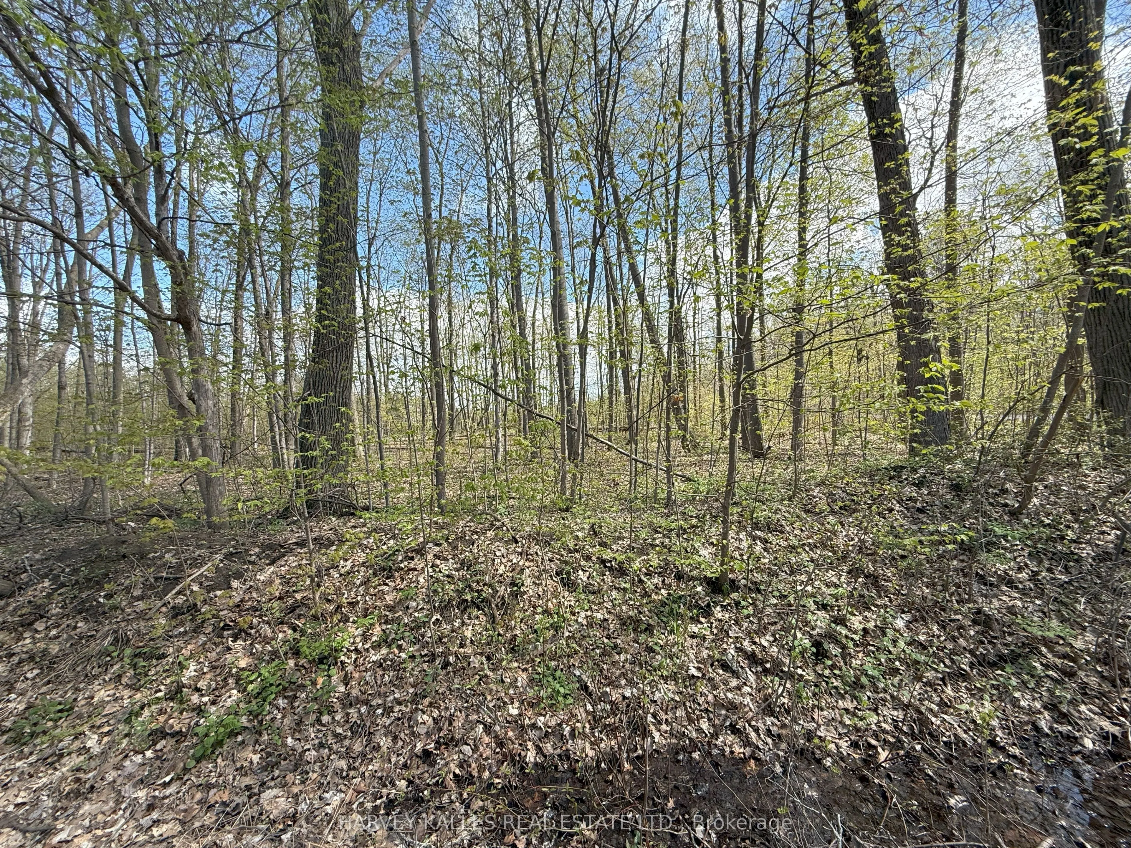 0 Oakwood Lane