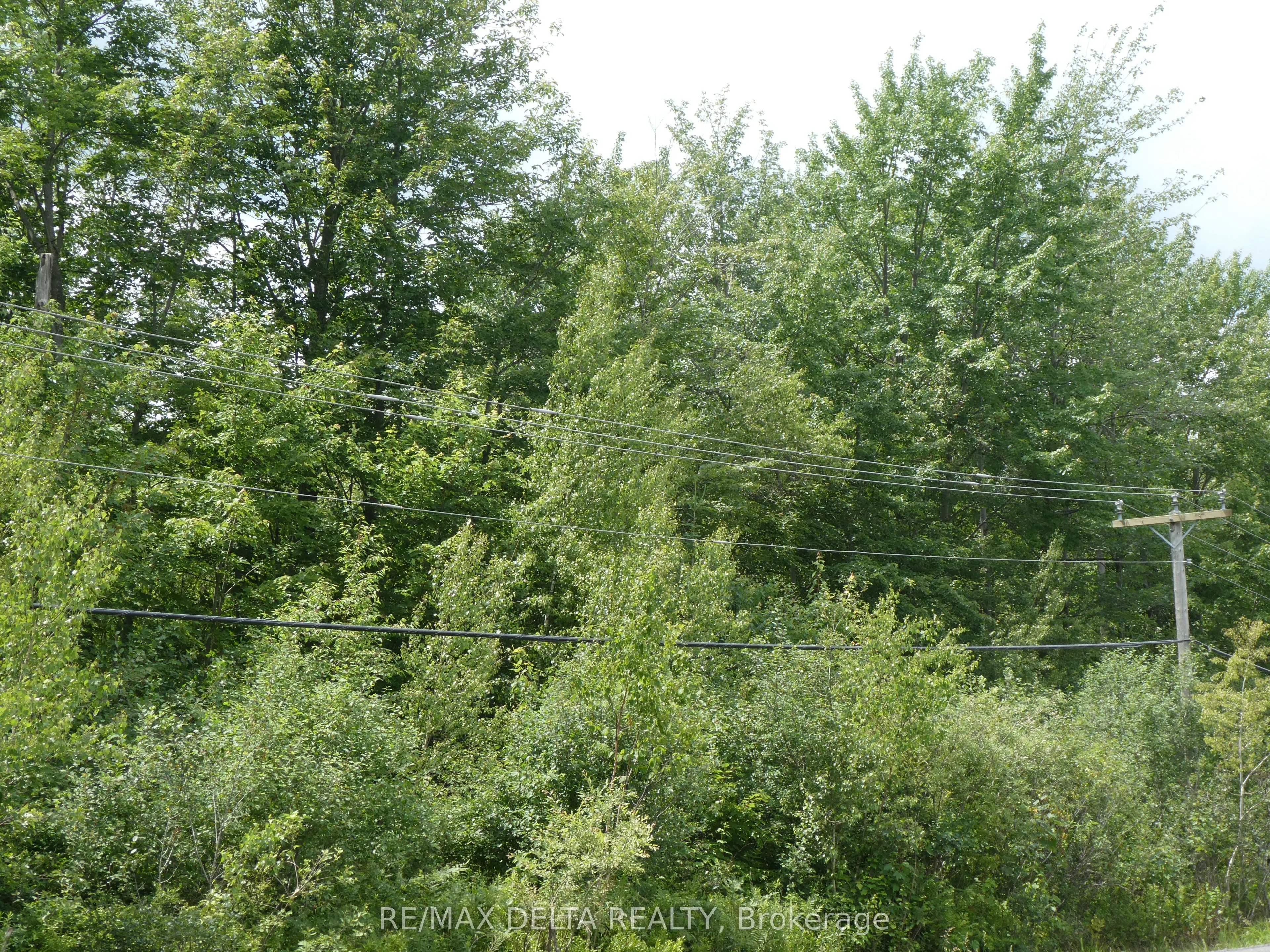 0000 County Road 15 Road