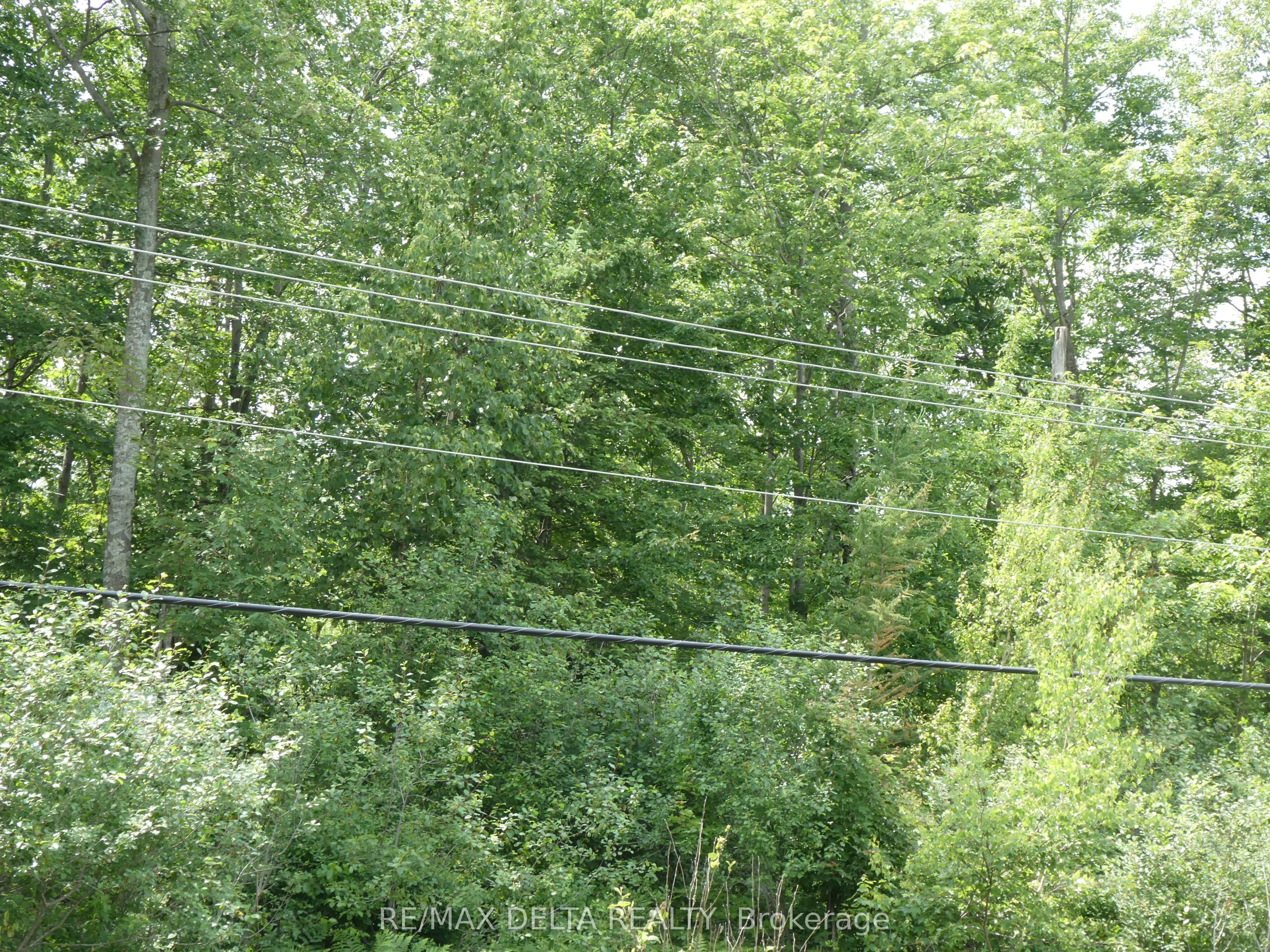 0000 County Road 15 Road
