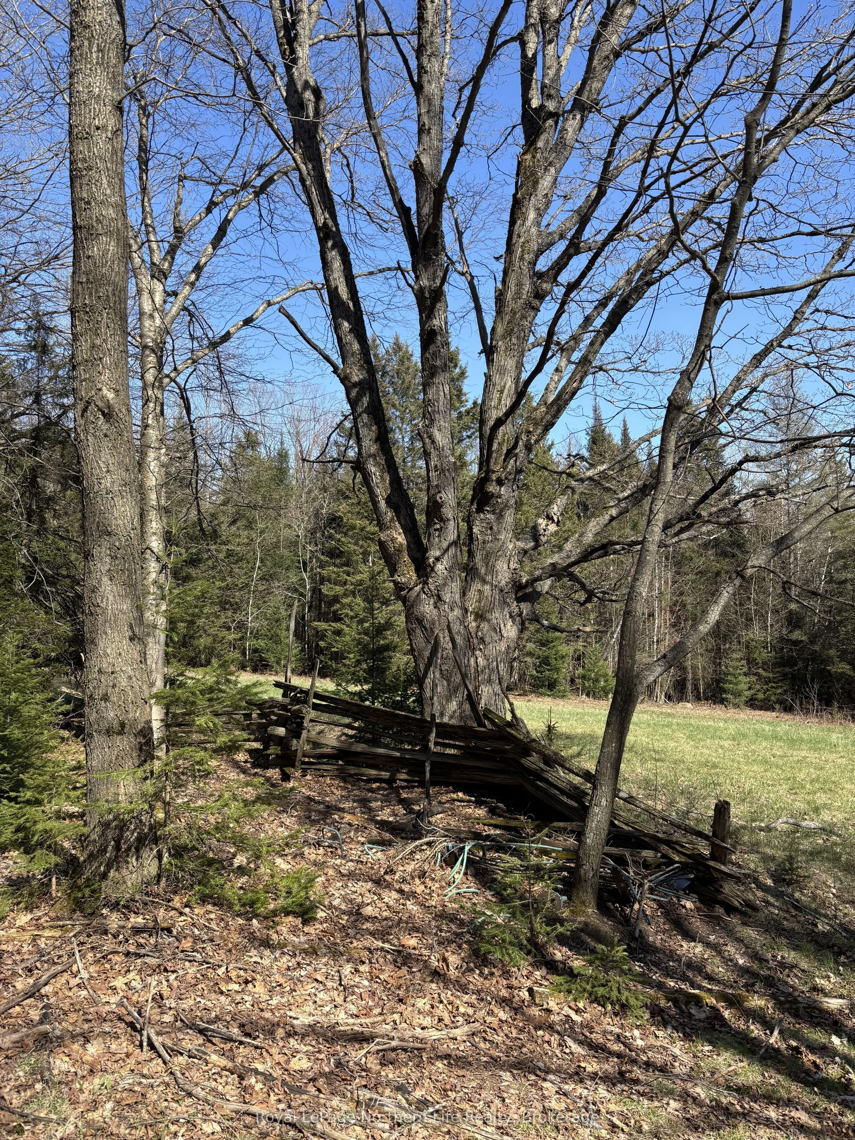 542 Alsace Road