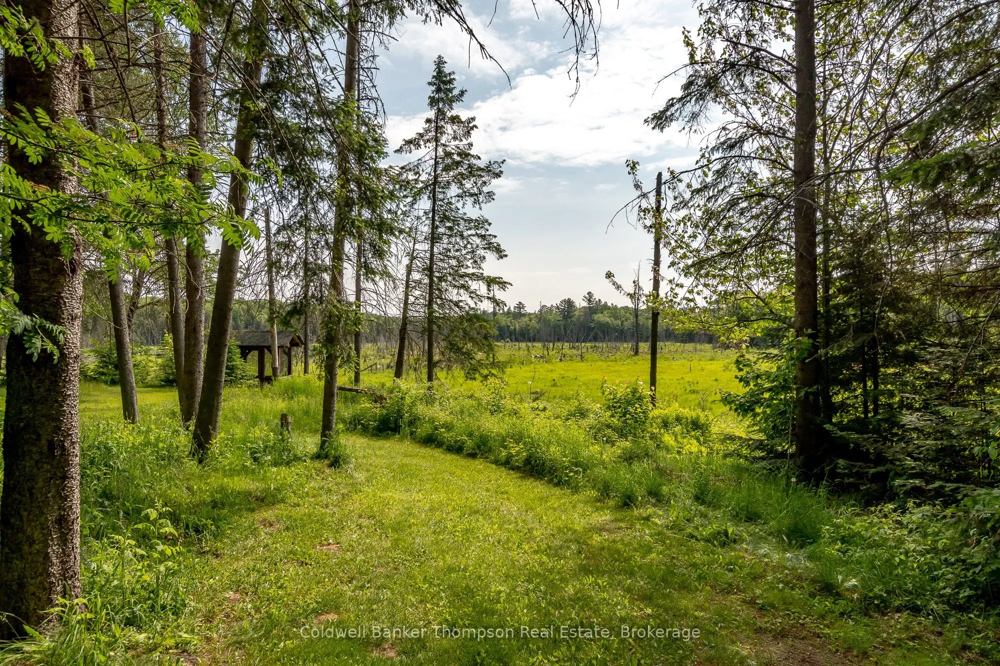 1095 WILLIAMSPORT Road