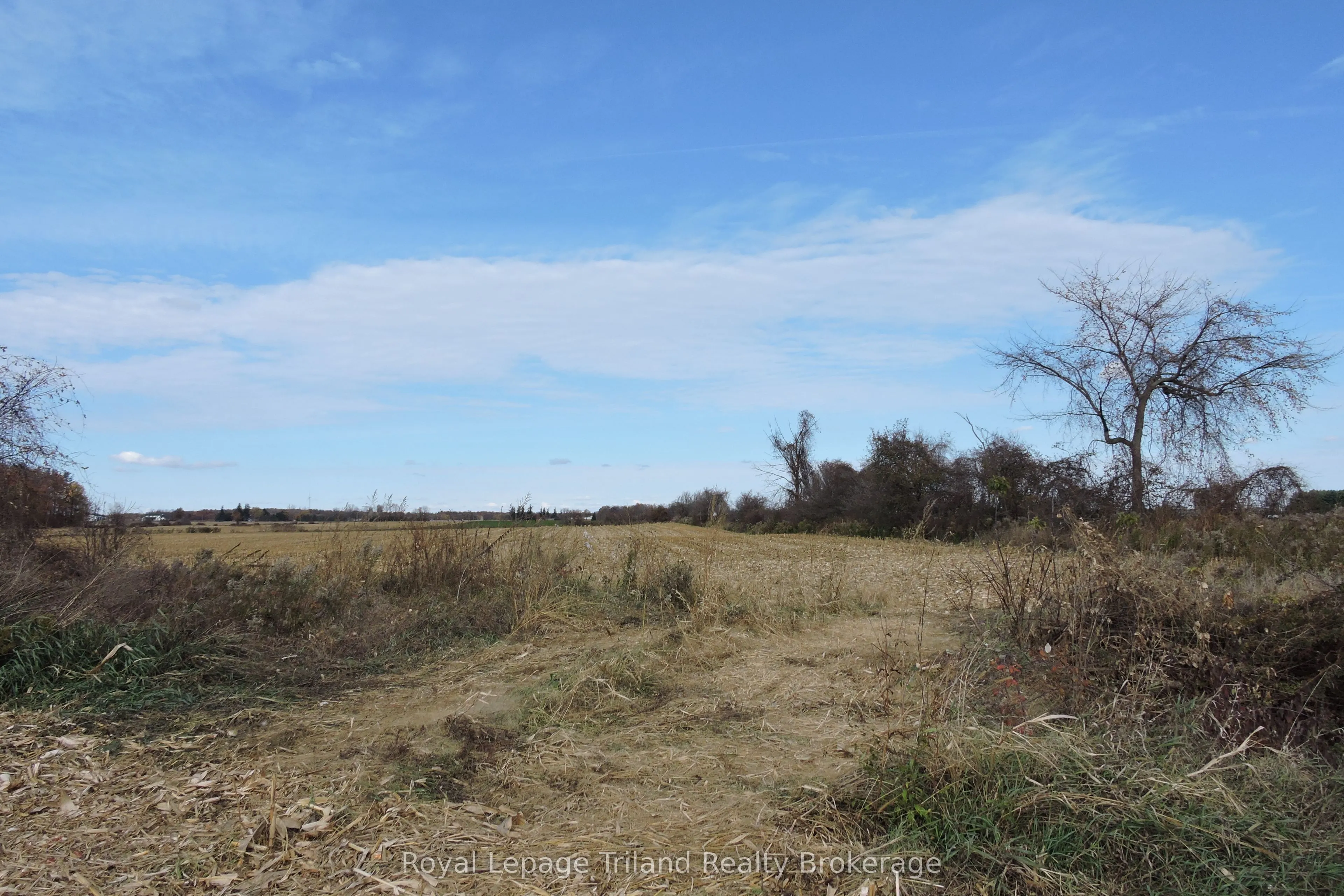 385517 Oxford 59 Road