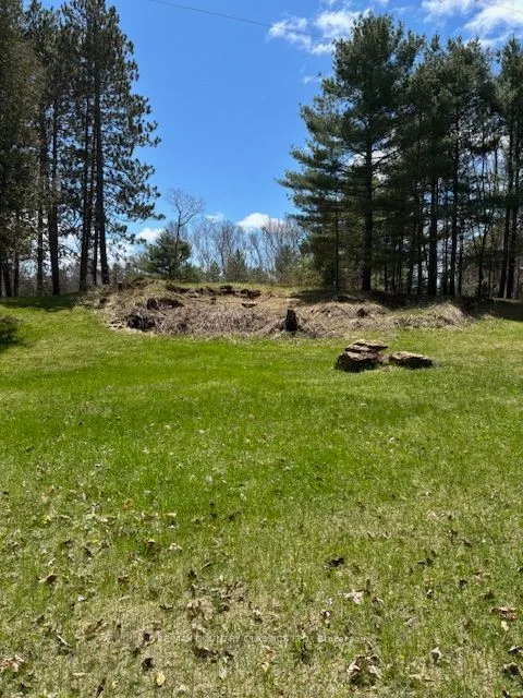 26686 Highway 62 S