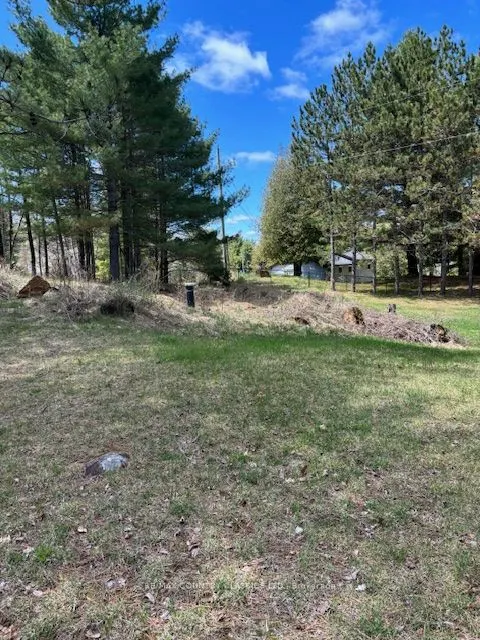 26686 Highway 62 S