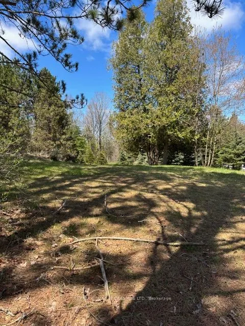 26686 Highway 62 S