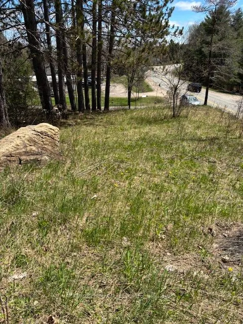 26686 Highway 62 S