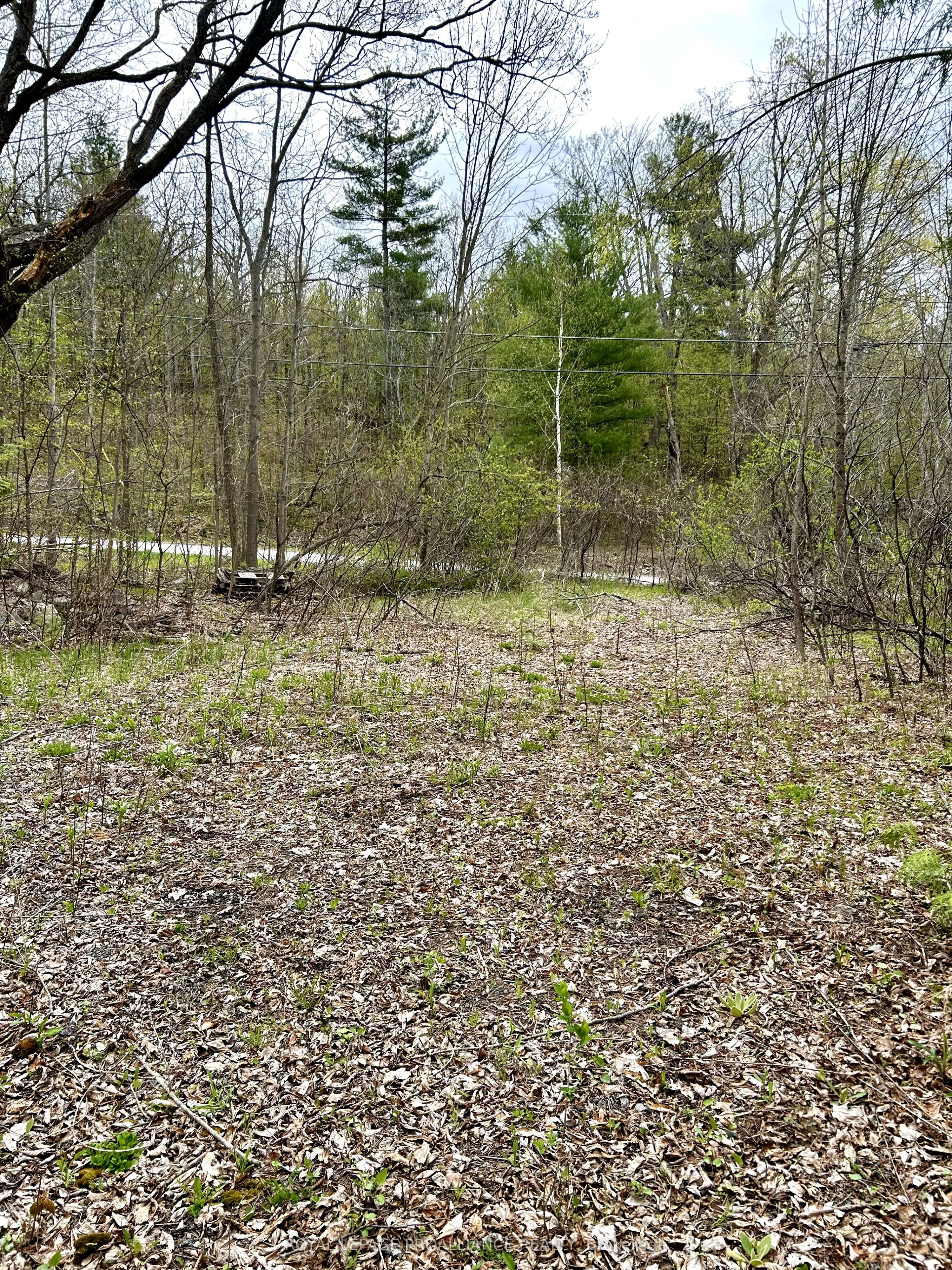 31 Glen Ridge Road