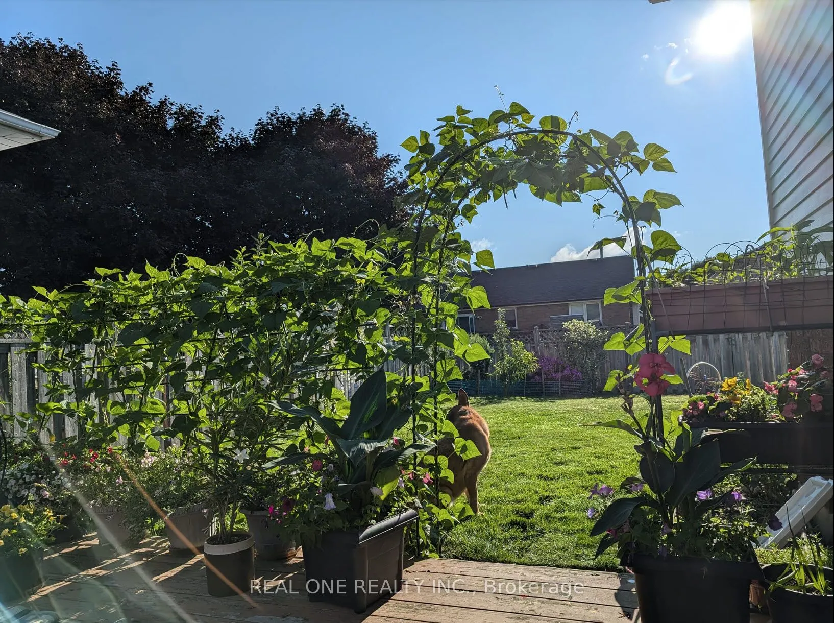 47 Trillium Way