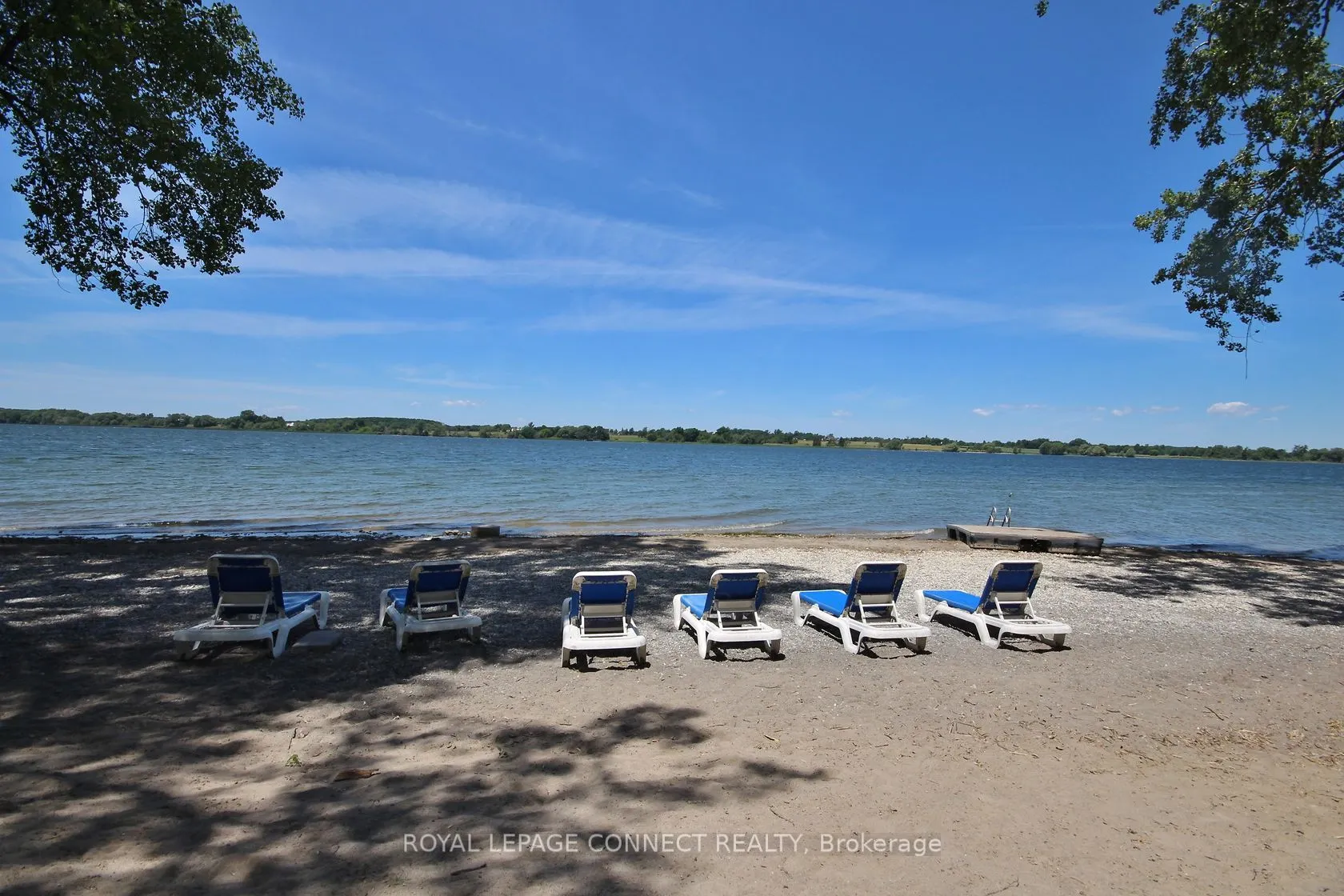 7 Hollow Lane E, #217