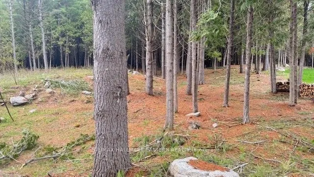 593 County Road 40