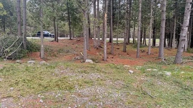 593 County Road 40
