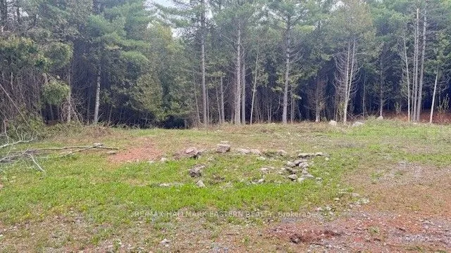 593 County Road 40