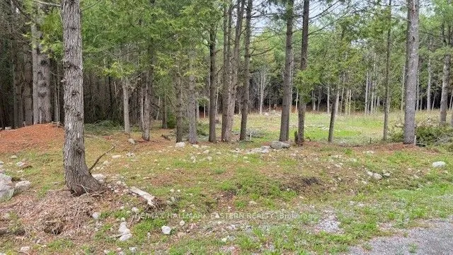 593 County Road 40