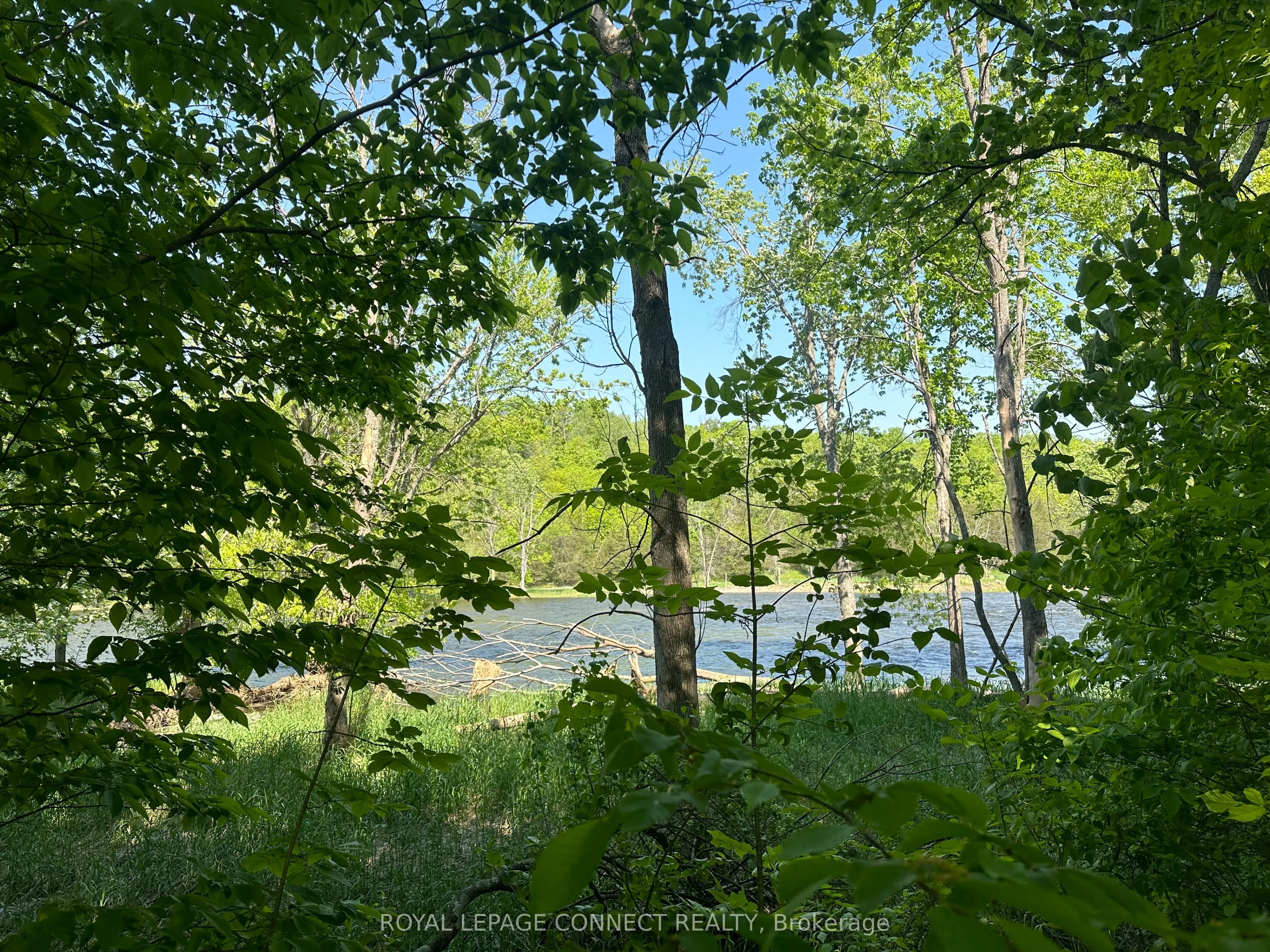 21 Riverside Drive