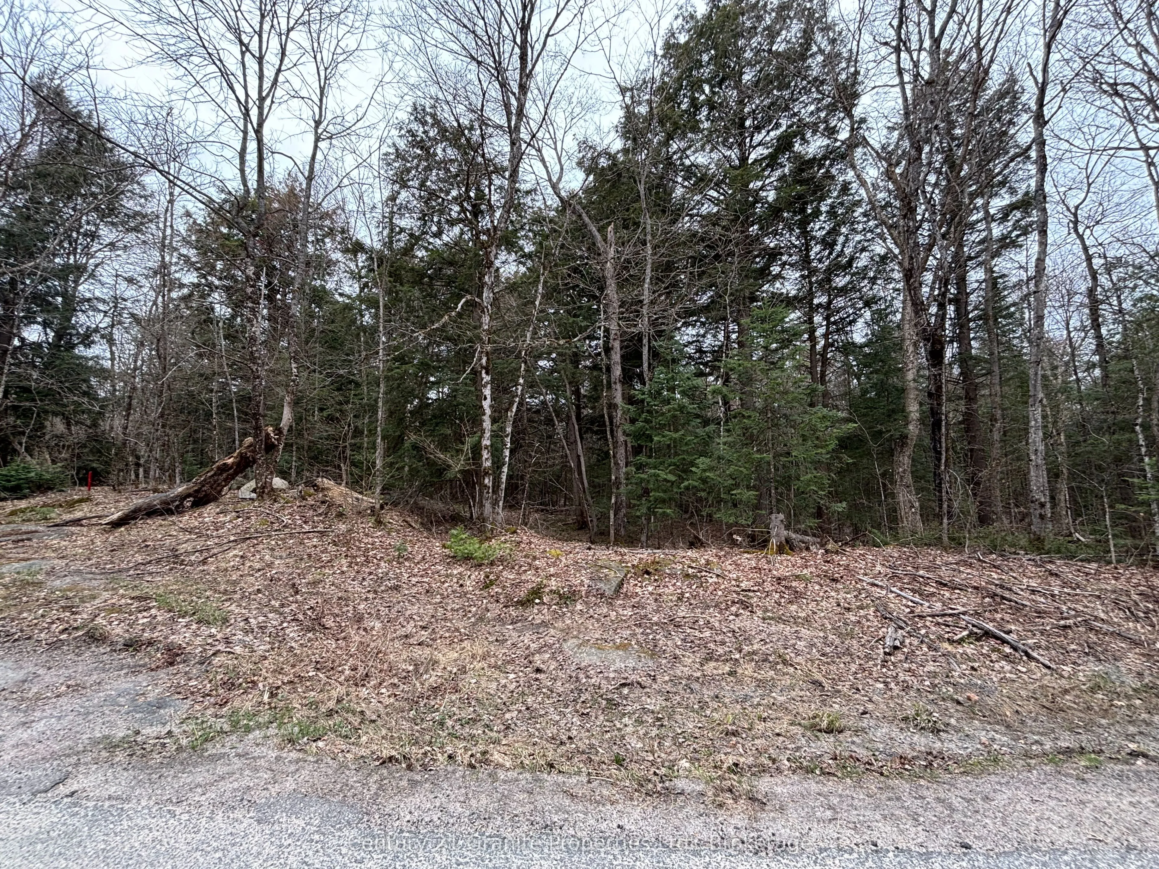 Lot 1 Loch Erne Road