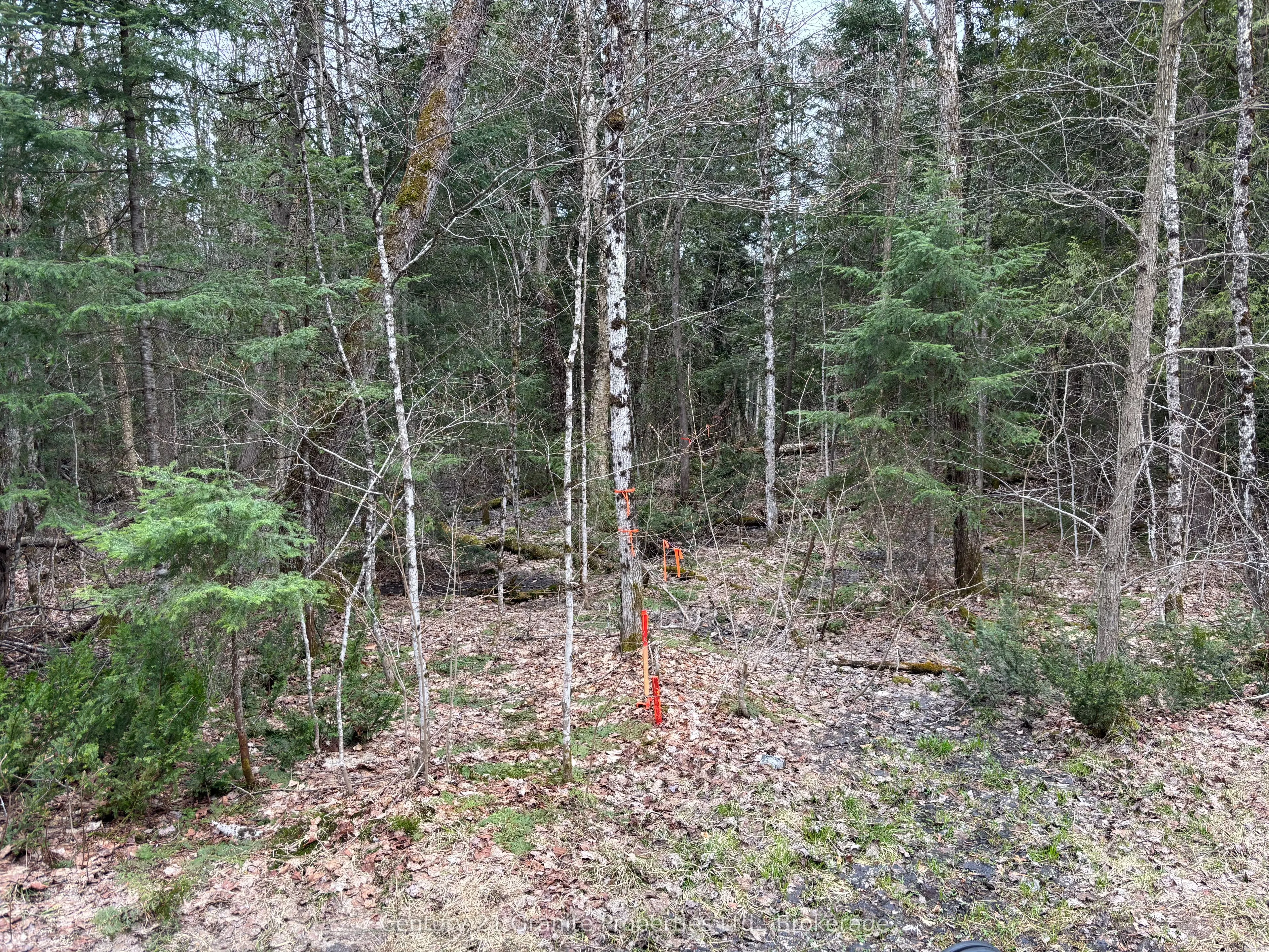 Lot 1 Loch Erne Road