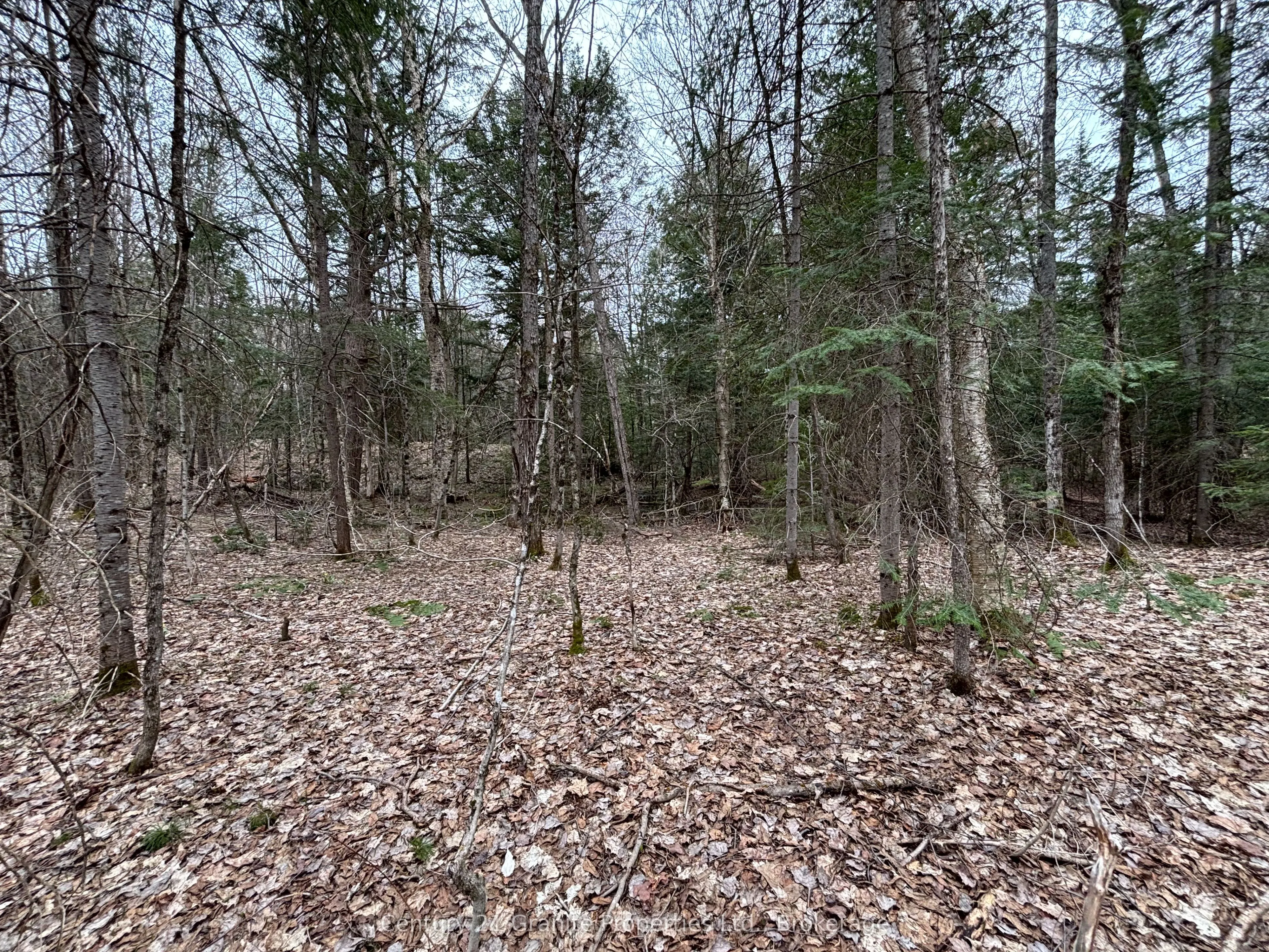 Lot 1 Loch Erne Road