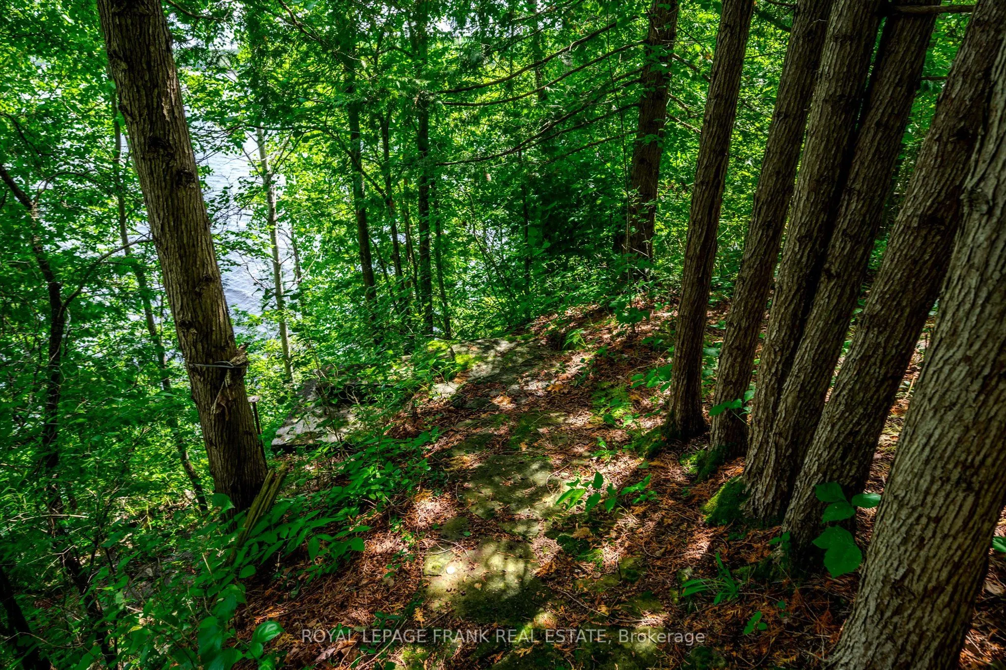1194 Birchview Road
