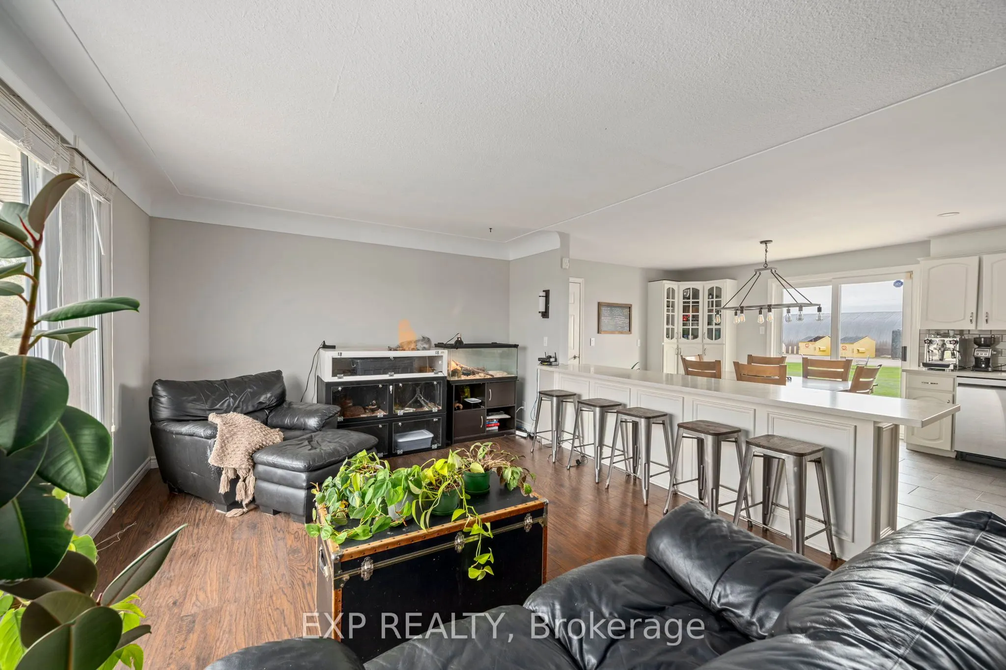 3862 Trafalgar Street